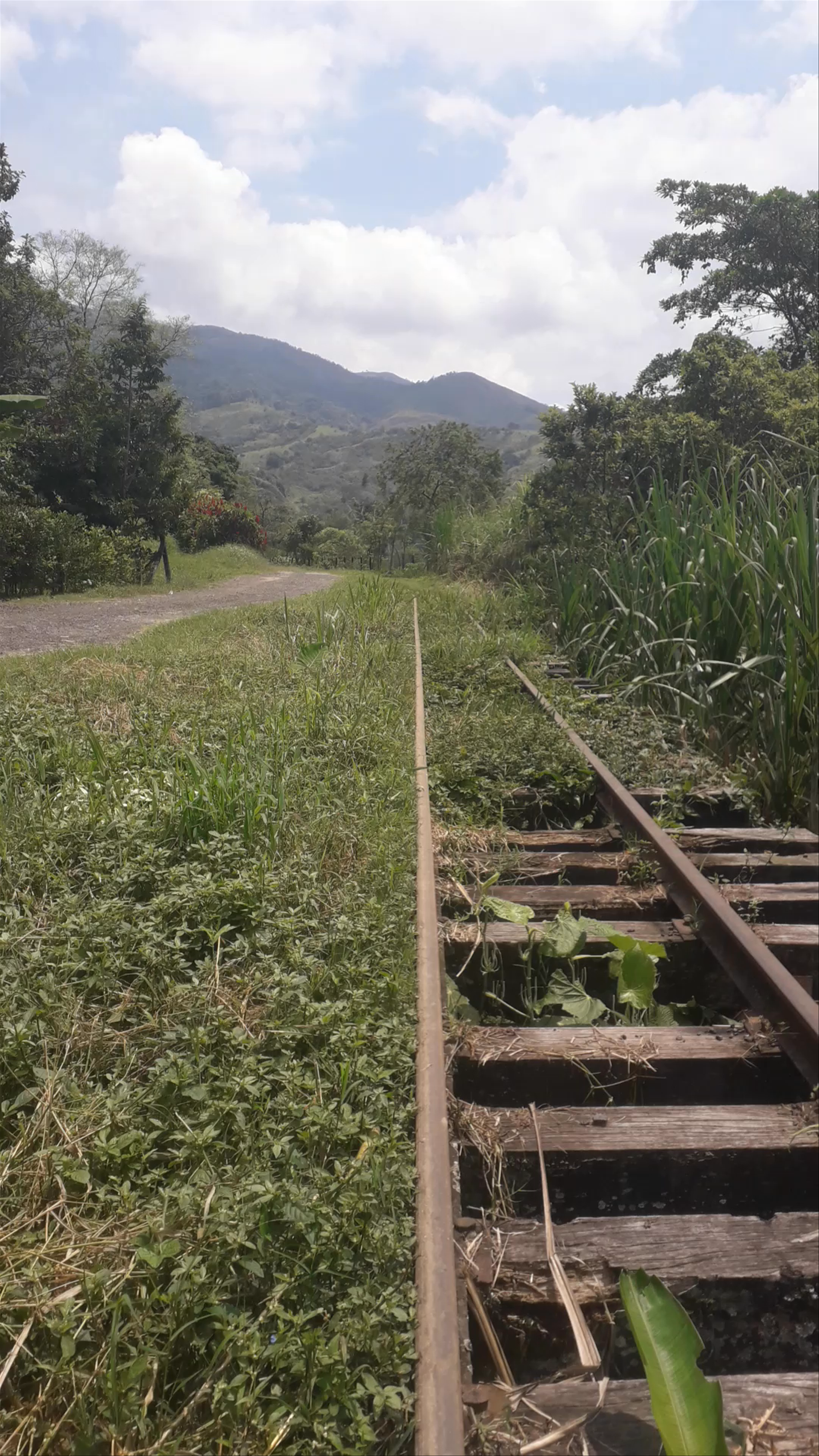 Cisneros Ferrocarril de Antioquia 