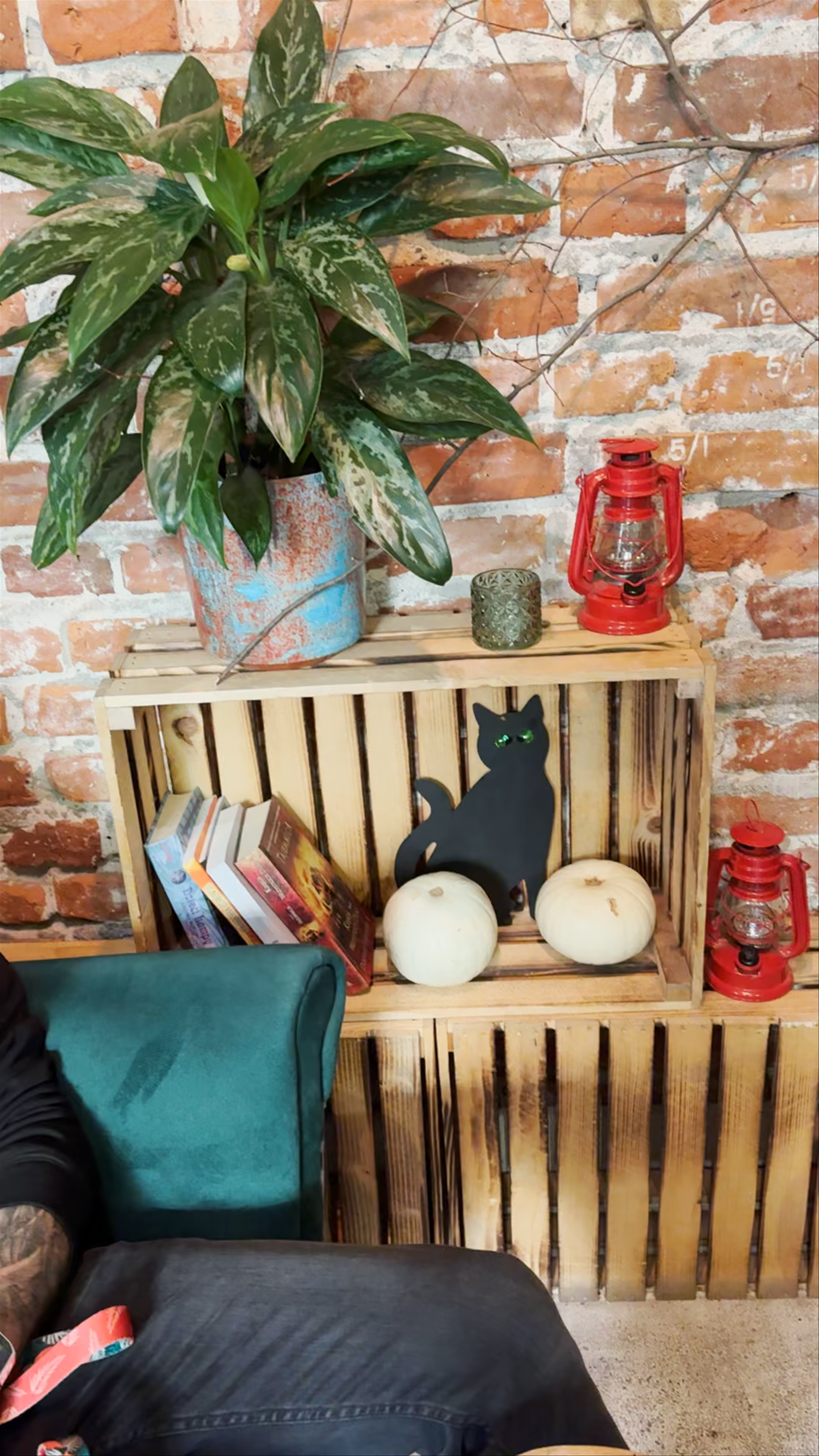 LAS Kawiarnia: Cozy Urban Hideaway in Warsaw