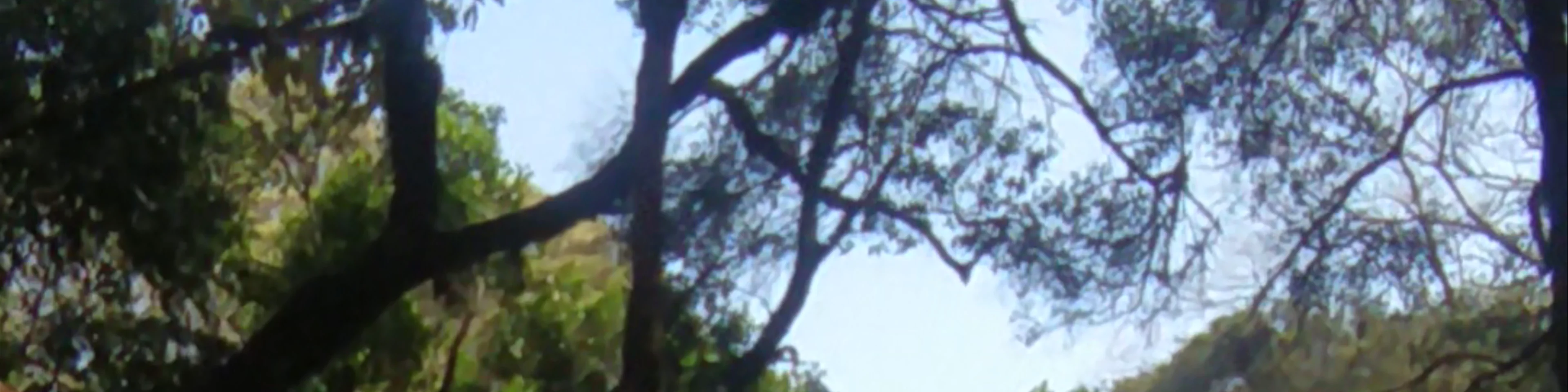 Mount Elgon National Park