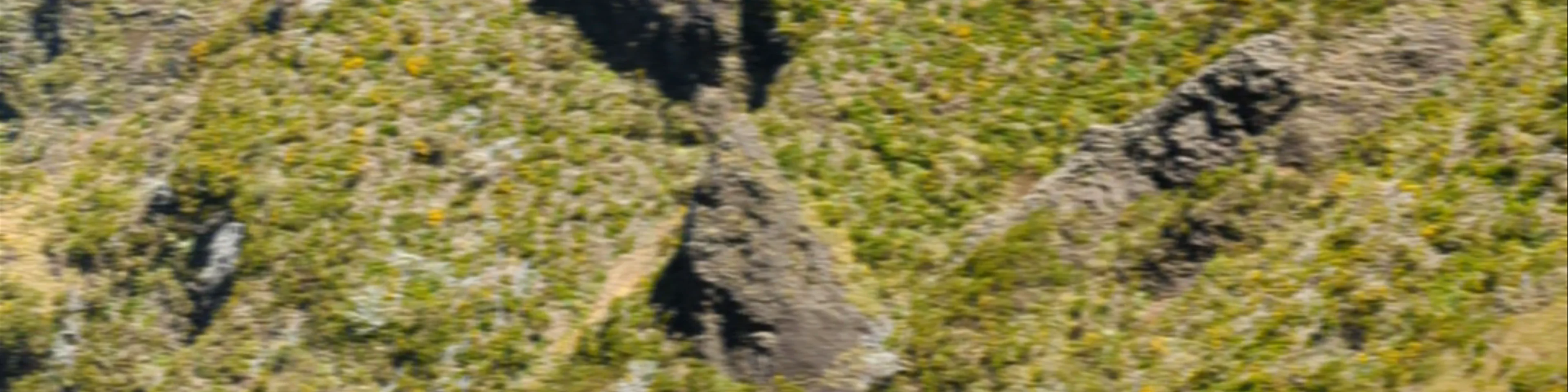 Pico do Areeiro