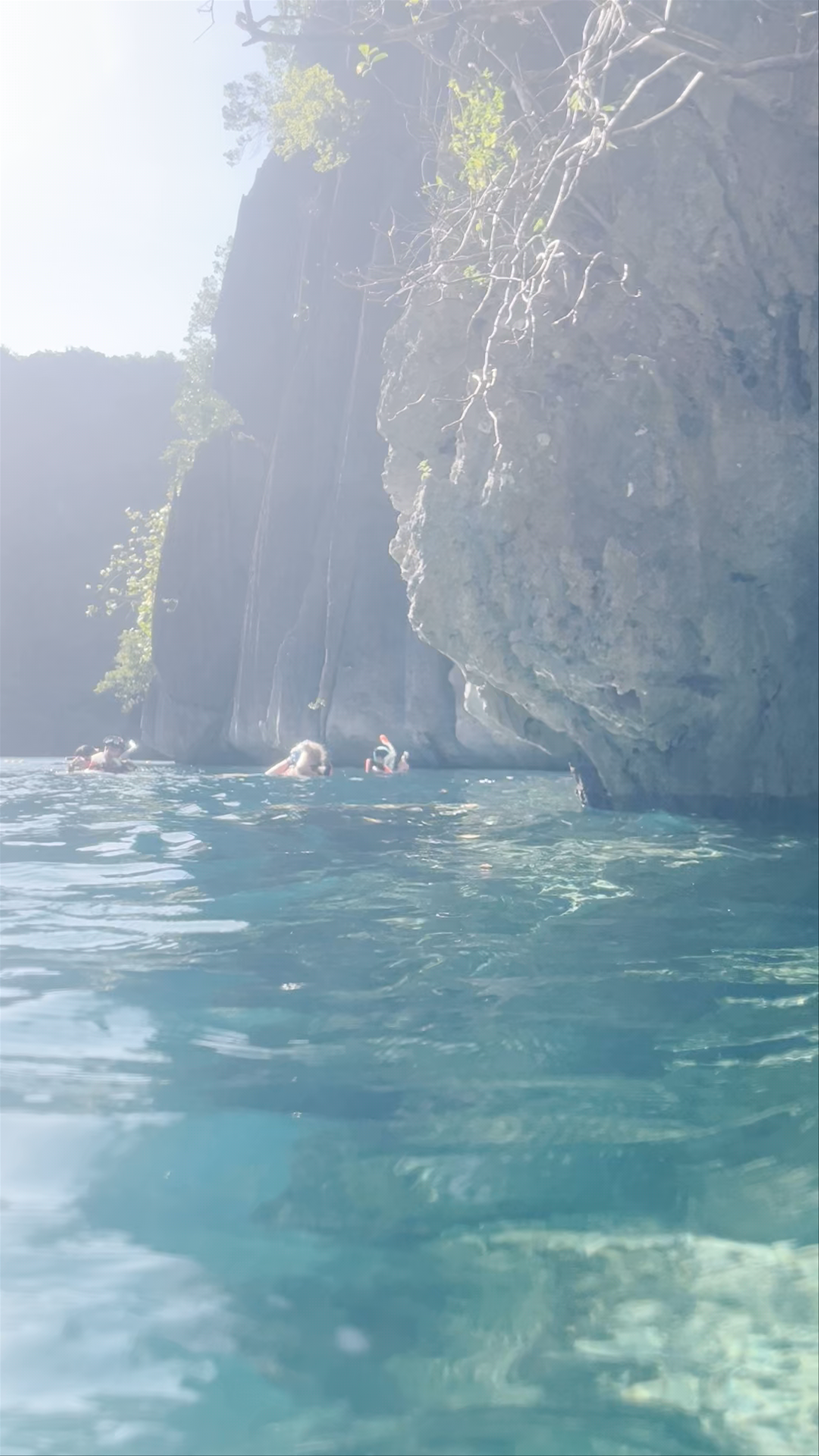 Barracuda Lake Adventure: Underwater Wonders in Coron, Palawan