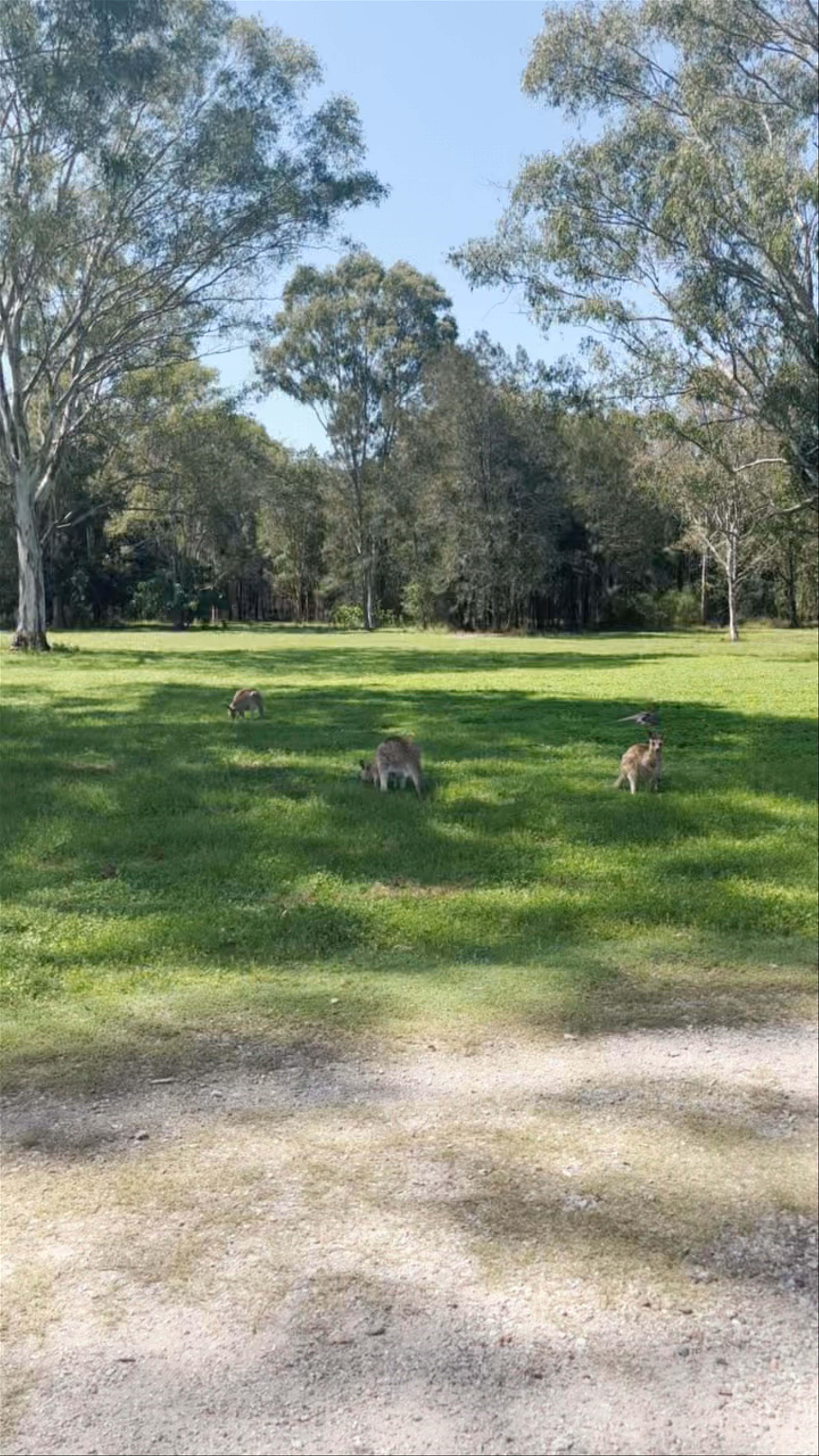 Coombabah Lake Conservation Park