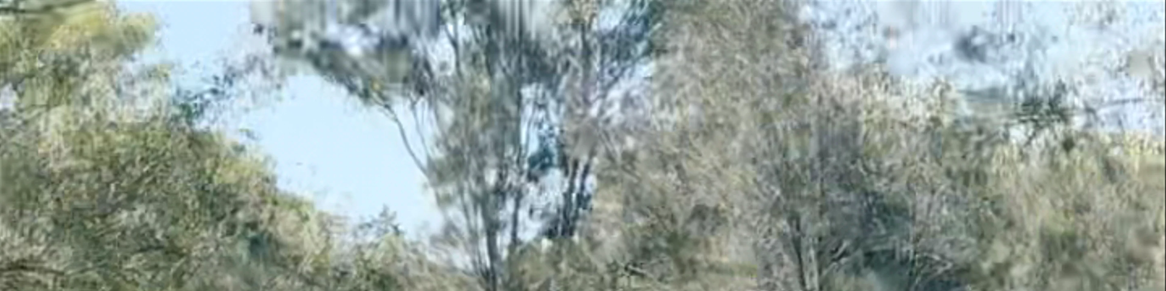 Coombabah Lake Conservation Park