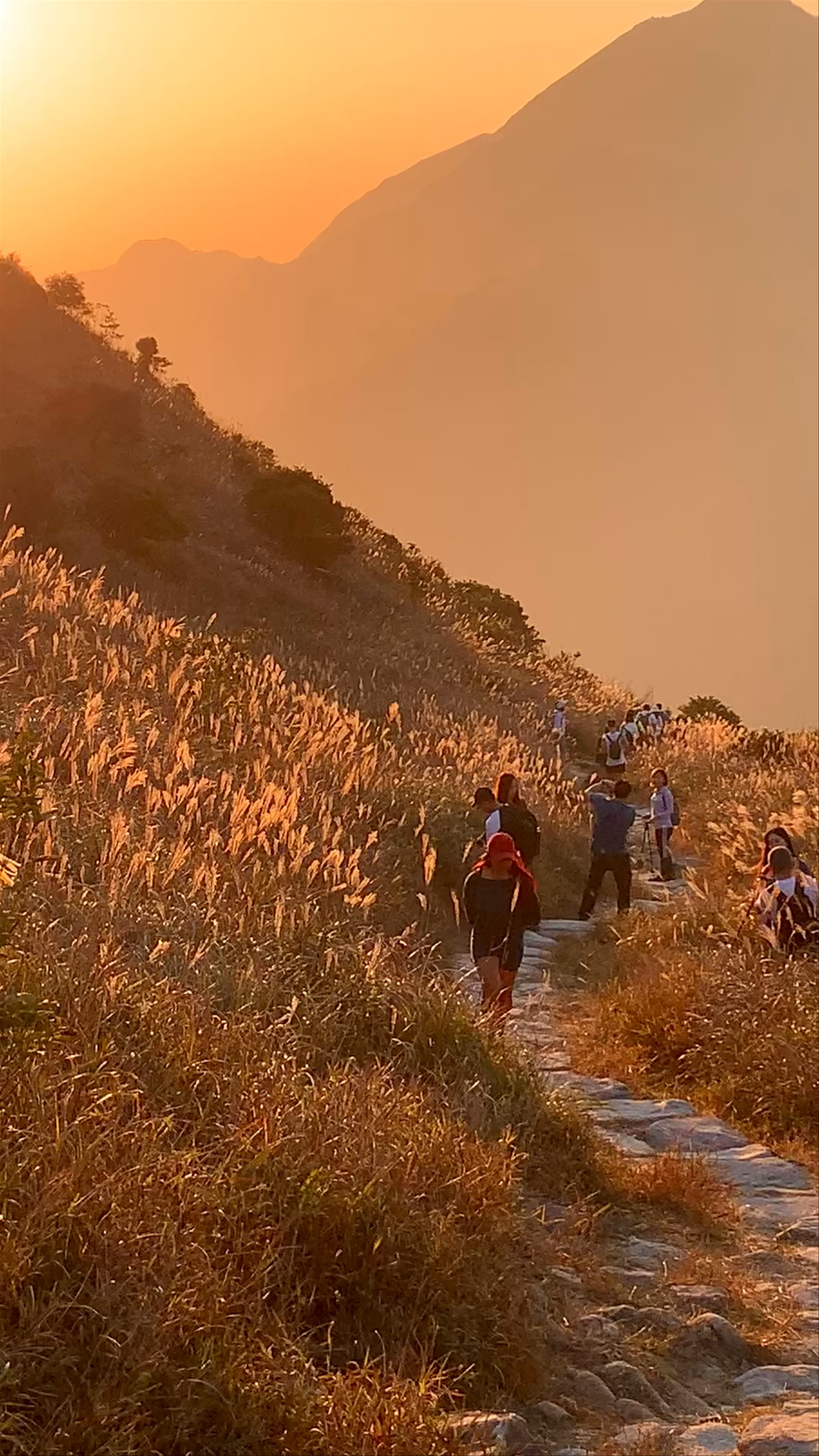 Sunset Peak: Golden Hour Hiking on Lantau Island, Hong Kong