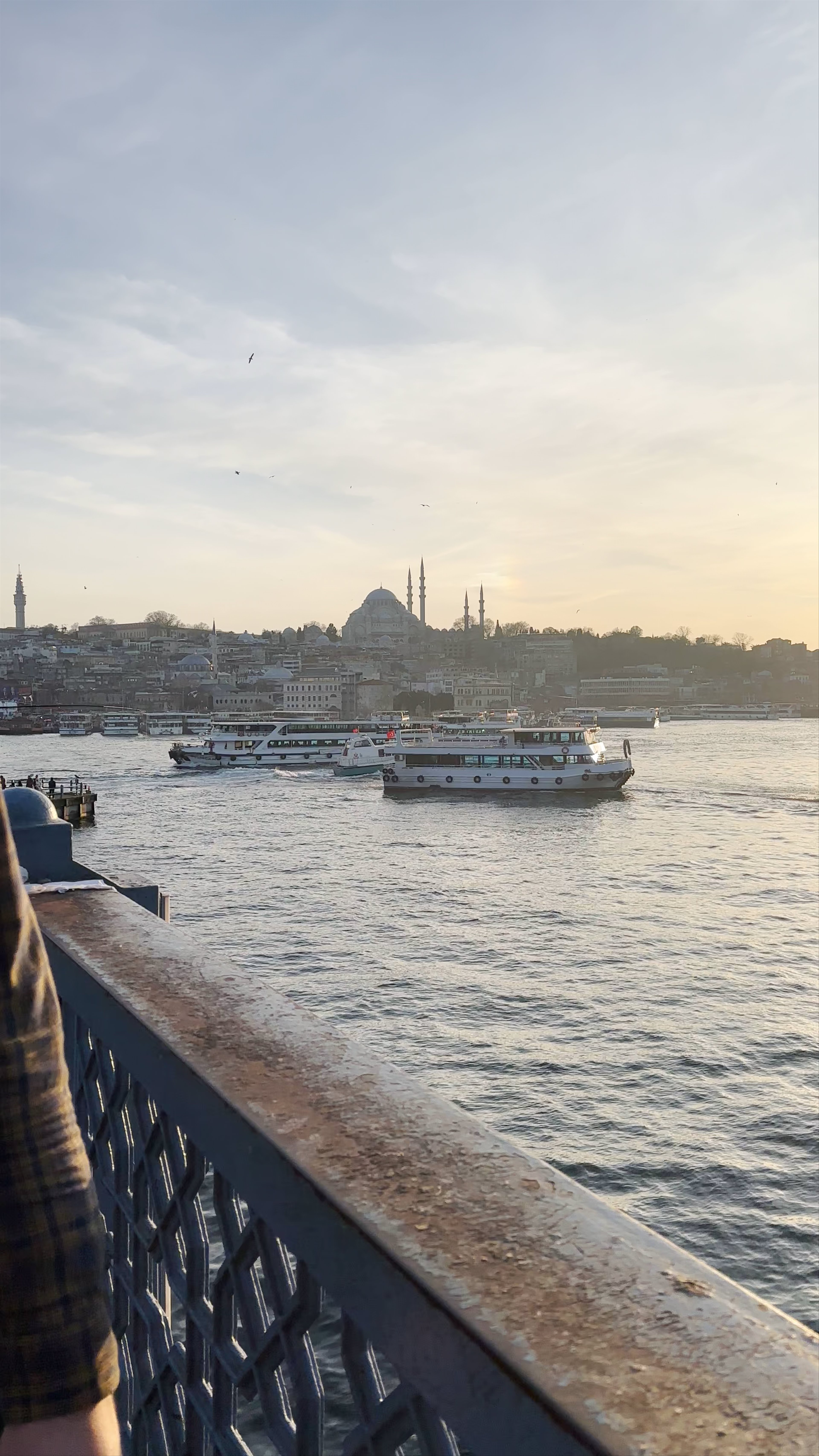 Serene Sunset Cruise on the Bosphorus, Istanbul