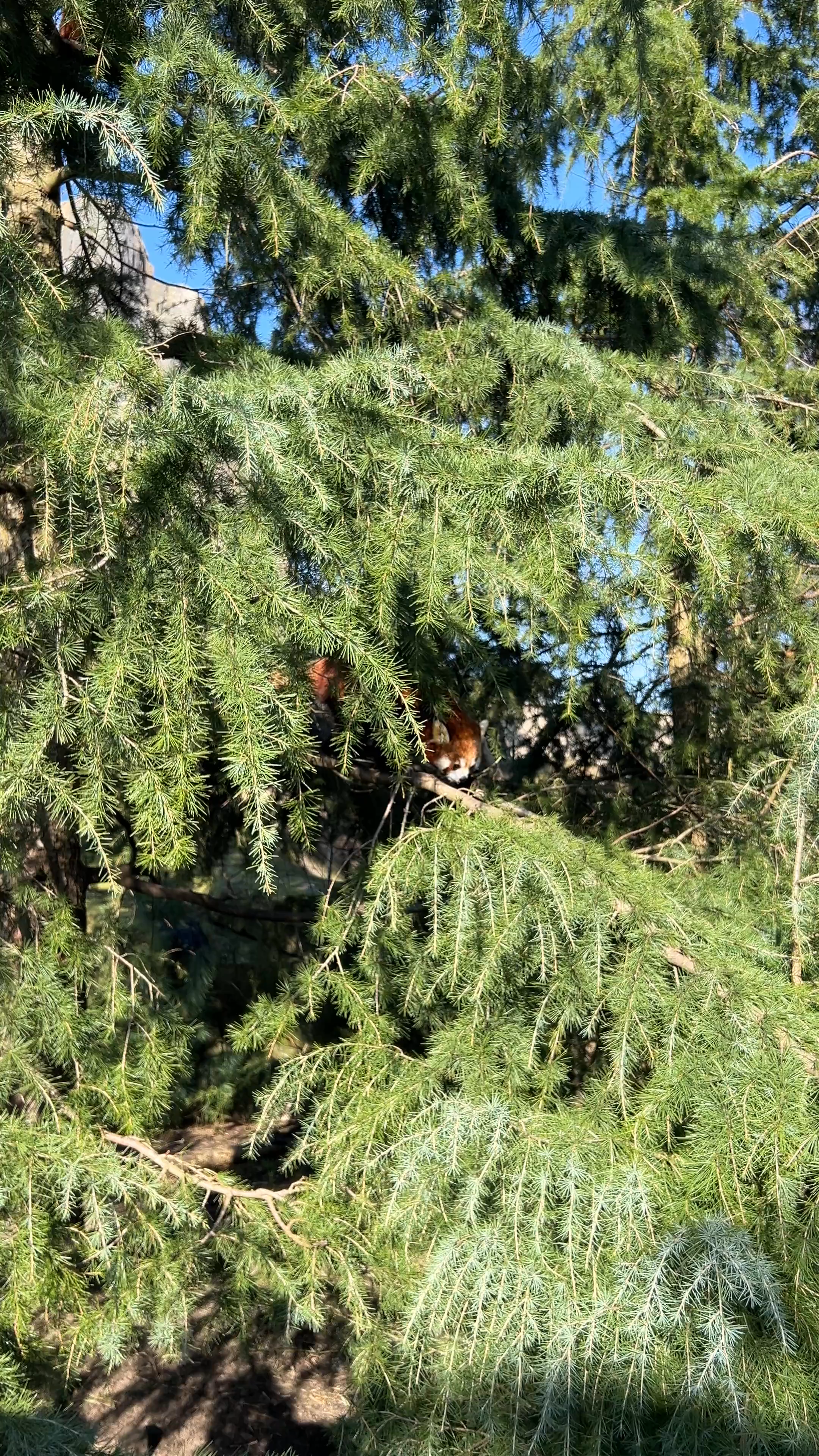 Rotterdam Zoo