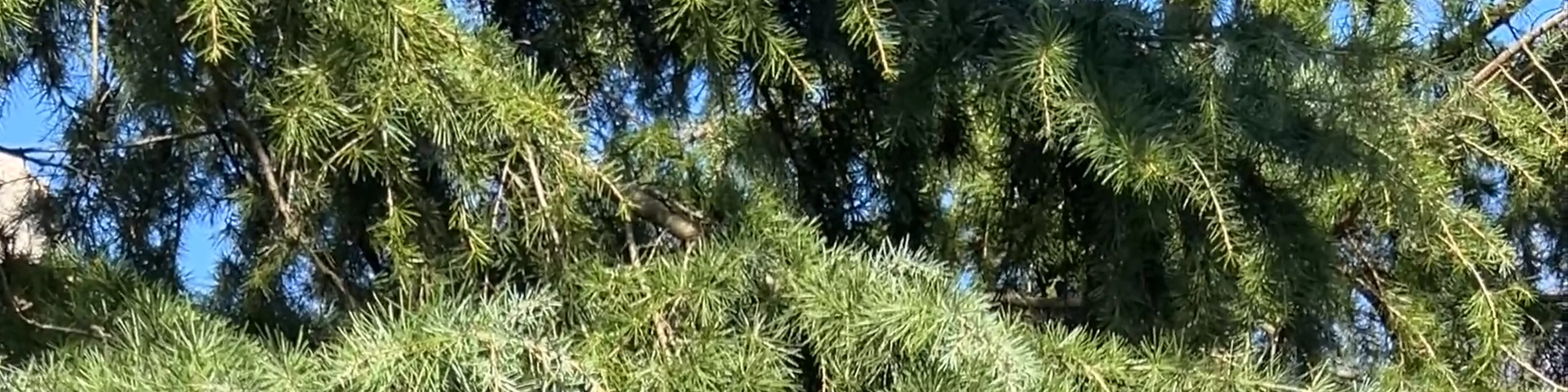 Rotterdam Zoo