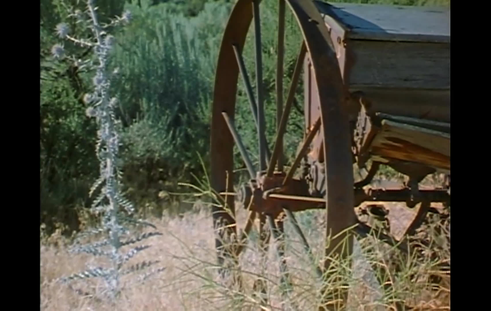 A herd of cattle moves across an arid, scrub-covered range, followed by views of a stone homestead and weathered wagon wheels. A lone rider crosses the open country as narration describes failed homesteads, drought, and land becoming public property.