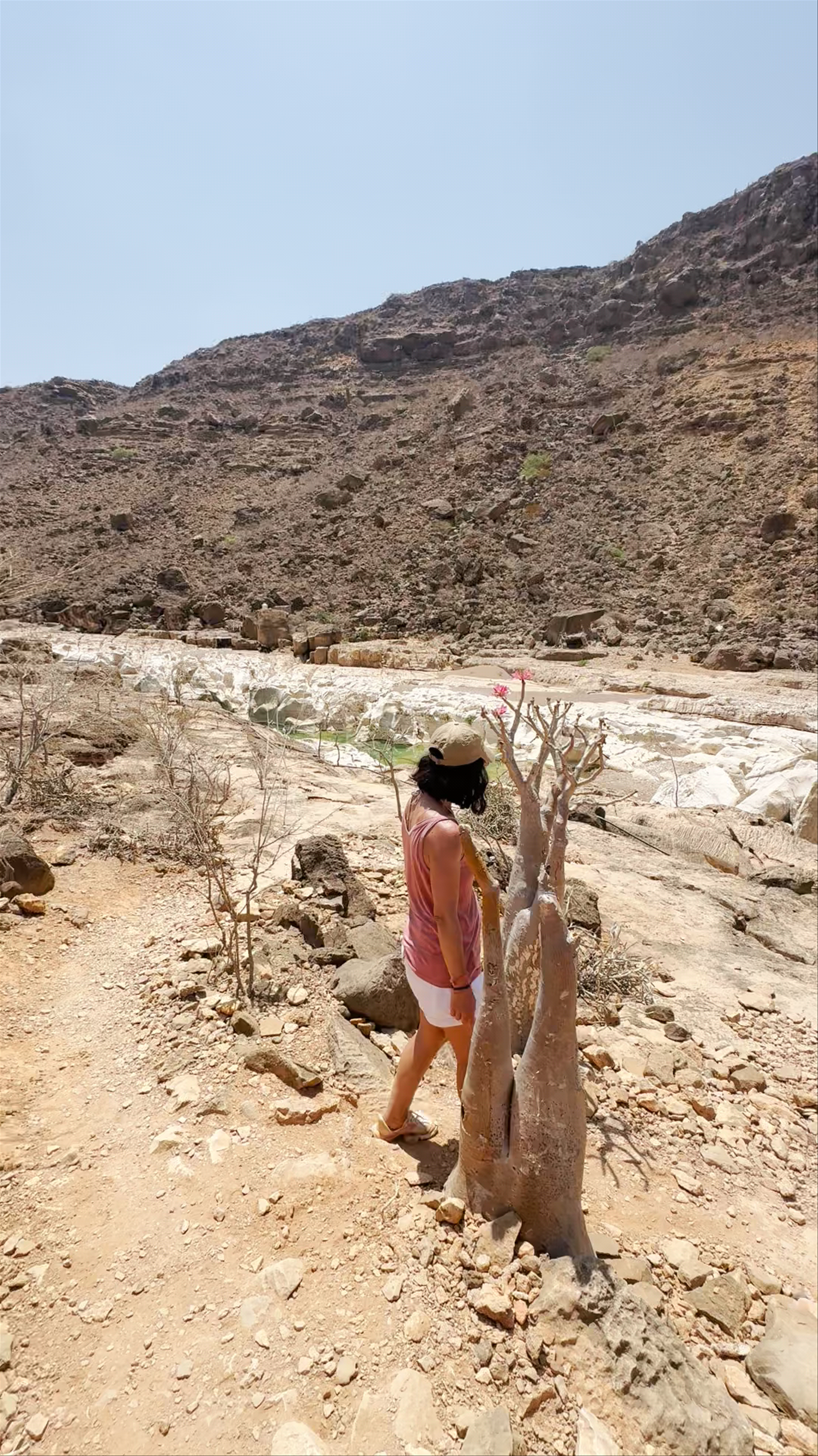 مسبح طبيعي كليسن، Mutra