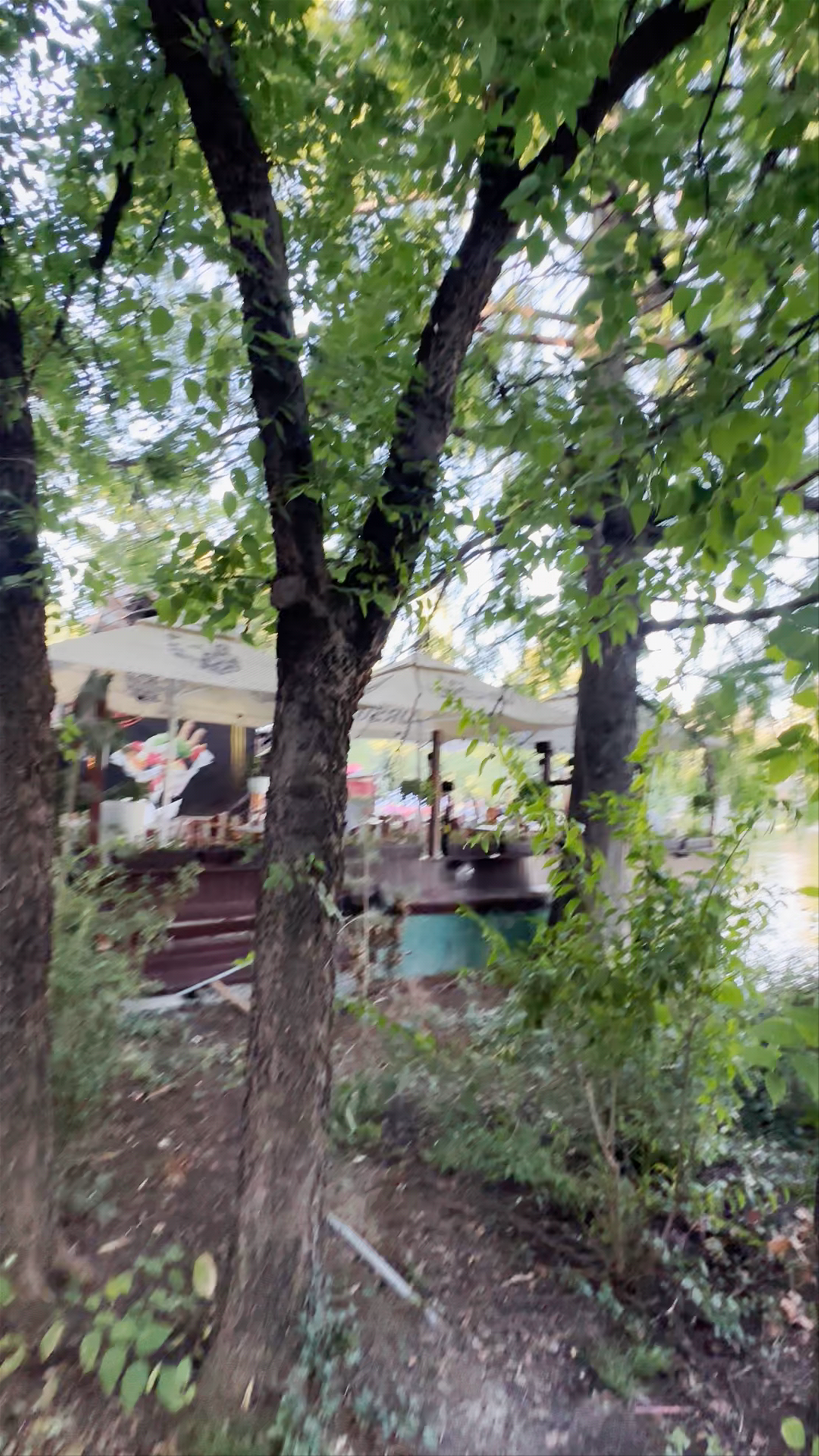 Terasa Grădina Cișmigiu: Serene Evening by the Lake in Bucharest