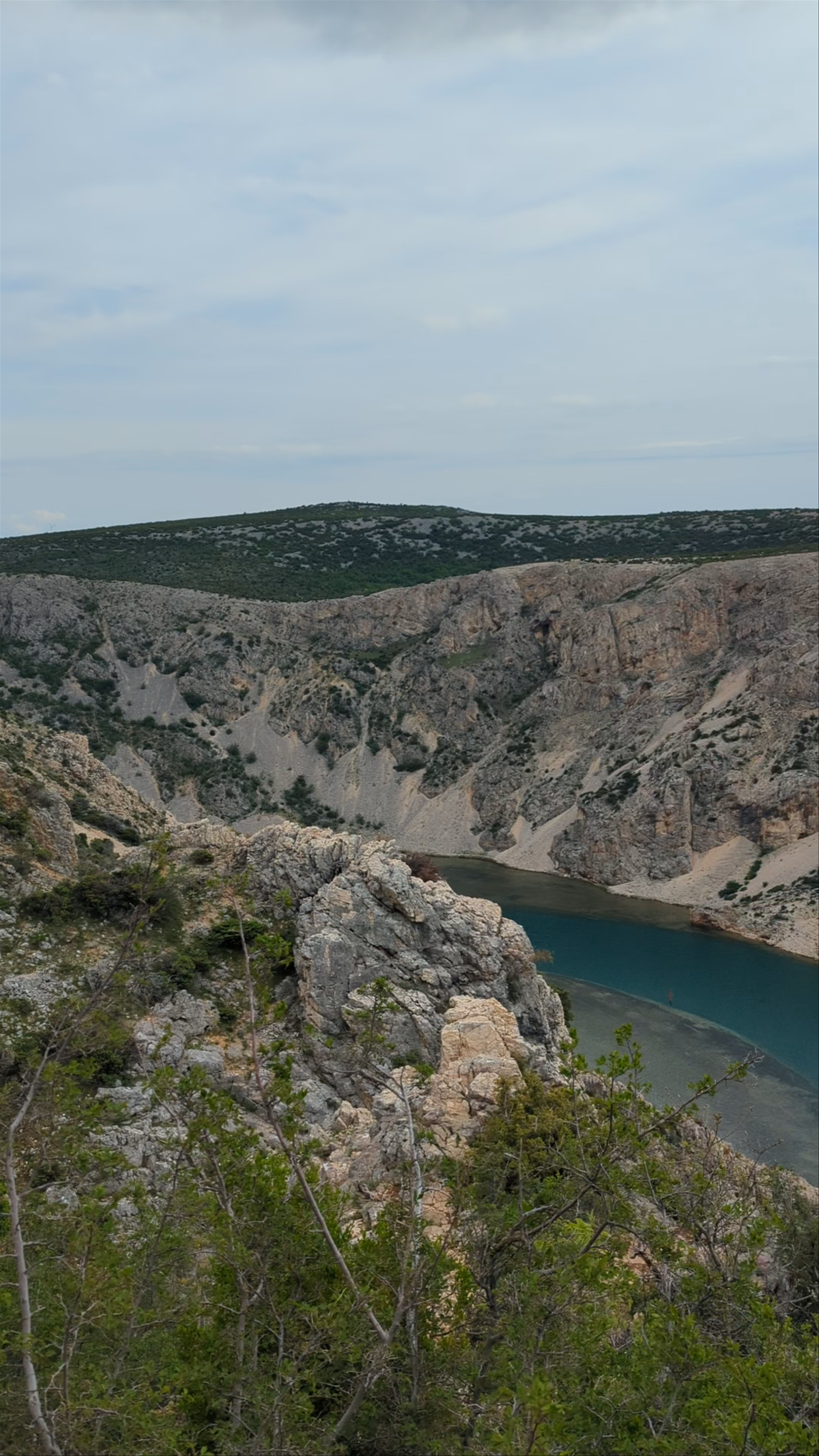 Pariževačka glavica