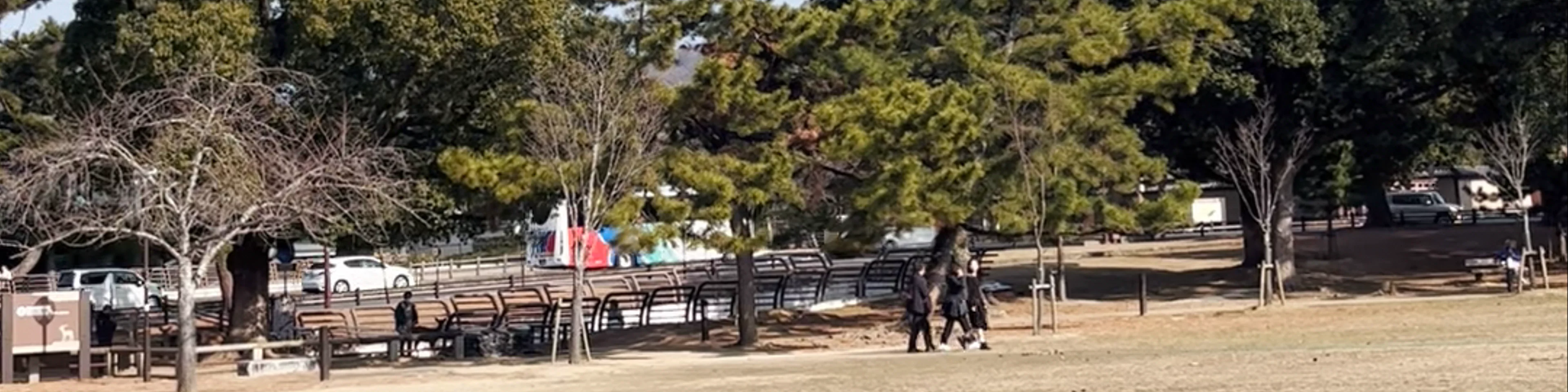 Nara Park