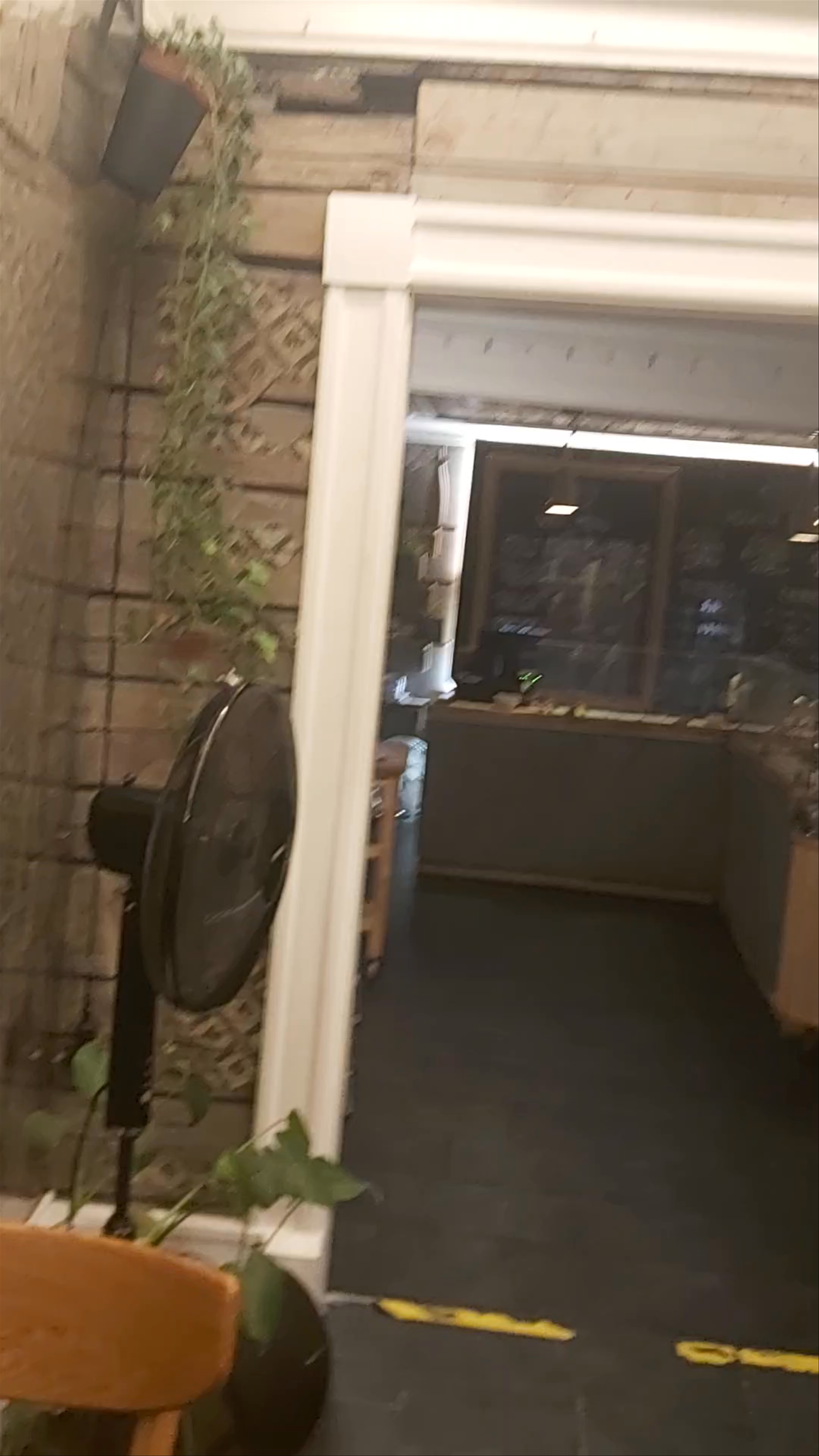Cozy Interior Tour at Daily Pot, Bergen
