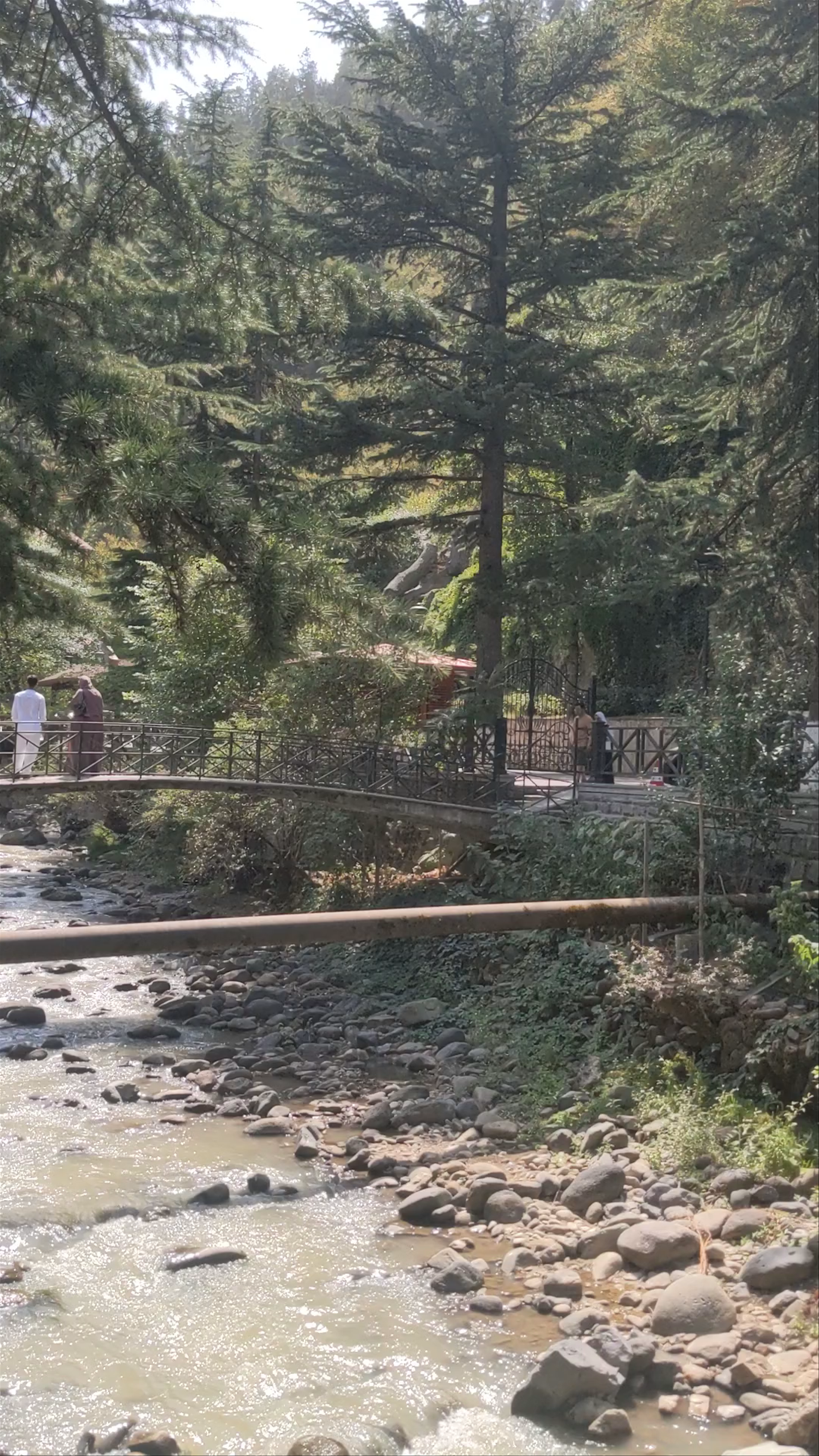 Borjomi Central Park