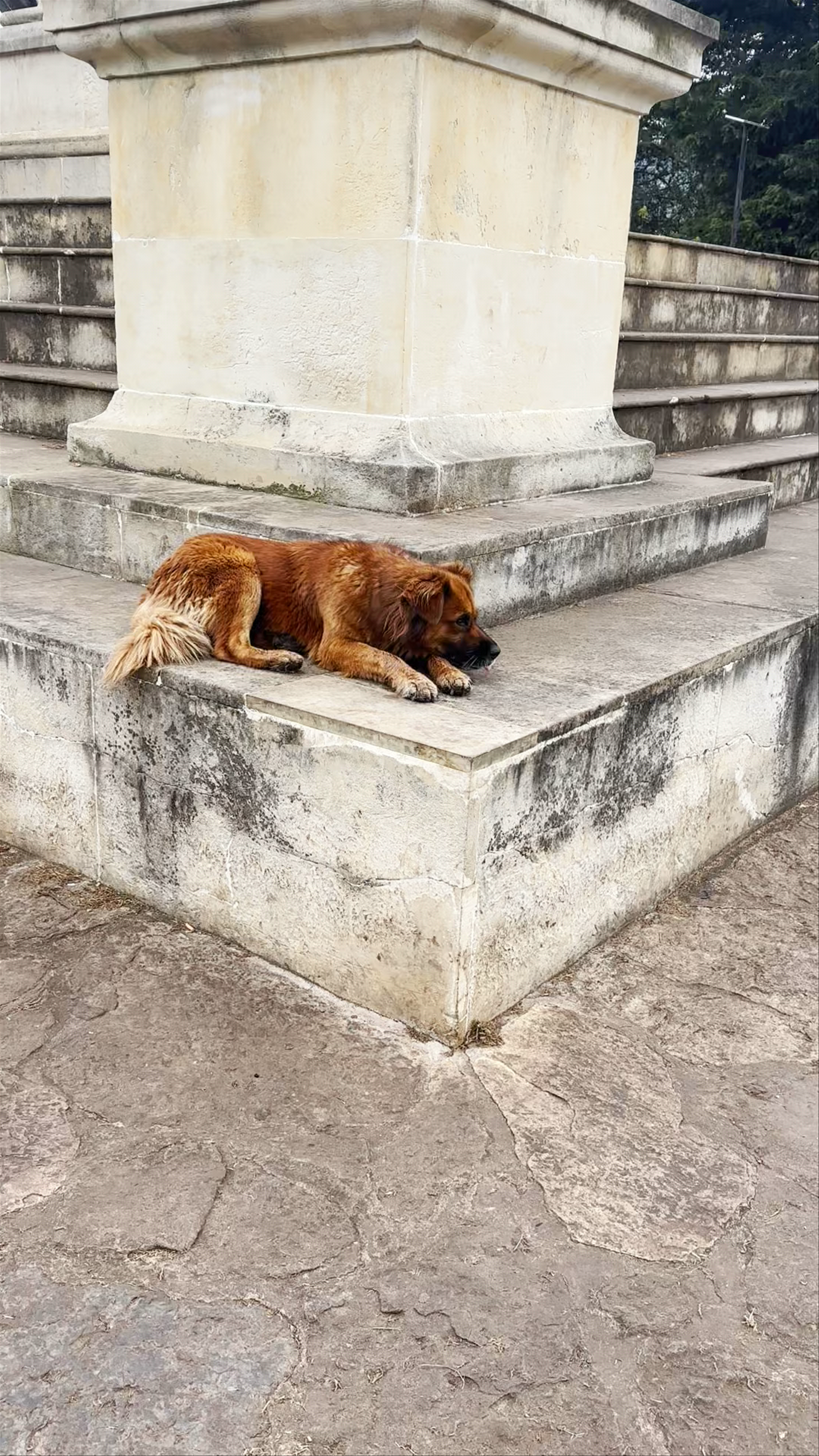 Monumento a Simón Bolívar: Historic Tribute and Tranquil Escape in Ventaquemada