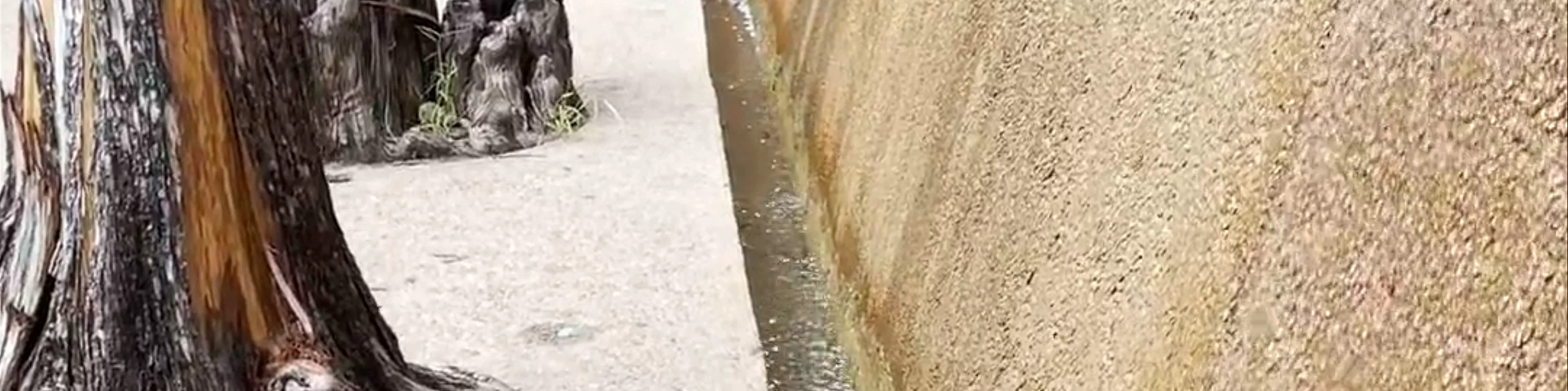 Fort Worth Water Gardens