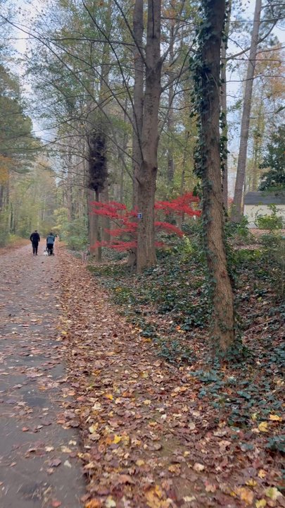Silver Comet Trail - Parks Near Me - Smyrna, Georgia
