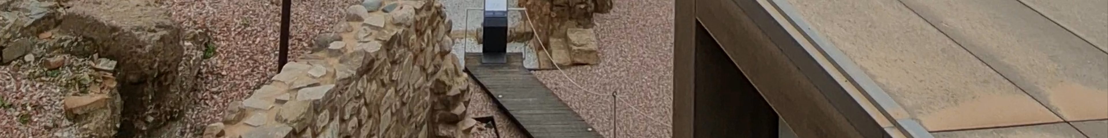 Tours & experiences in Málaga