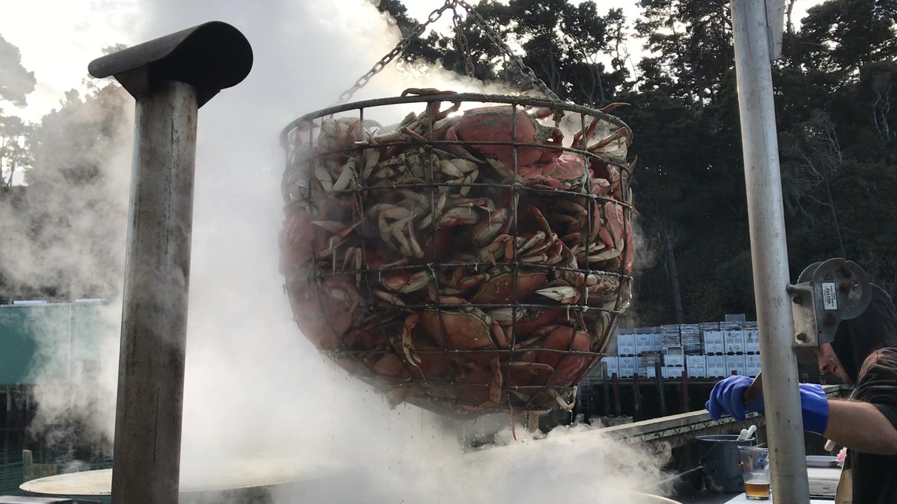 Hooked On Mendo Charters - You'll never eat fresher crab. - Fishing Near Me - Fort Bragg, California