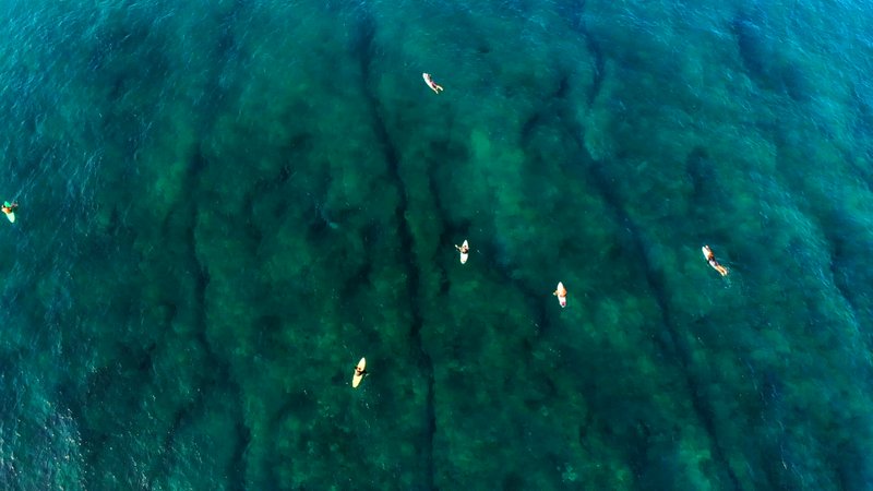 Surfer by Drone poster