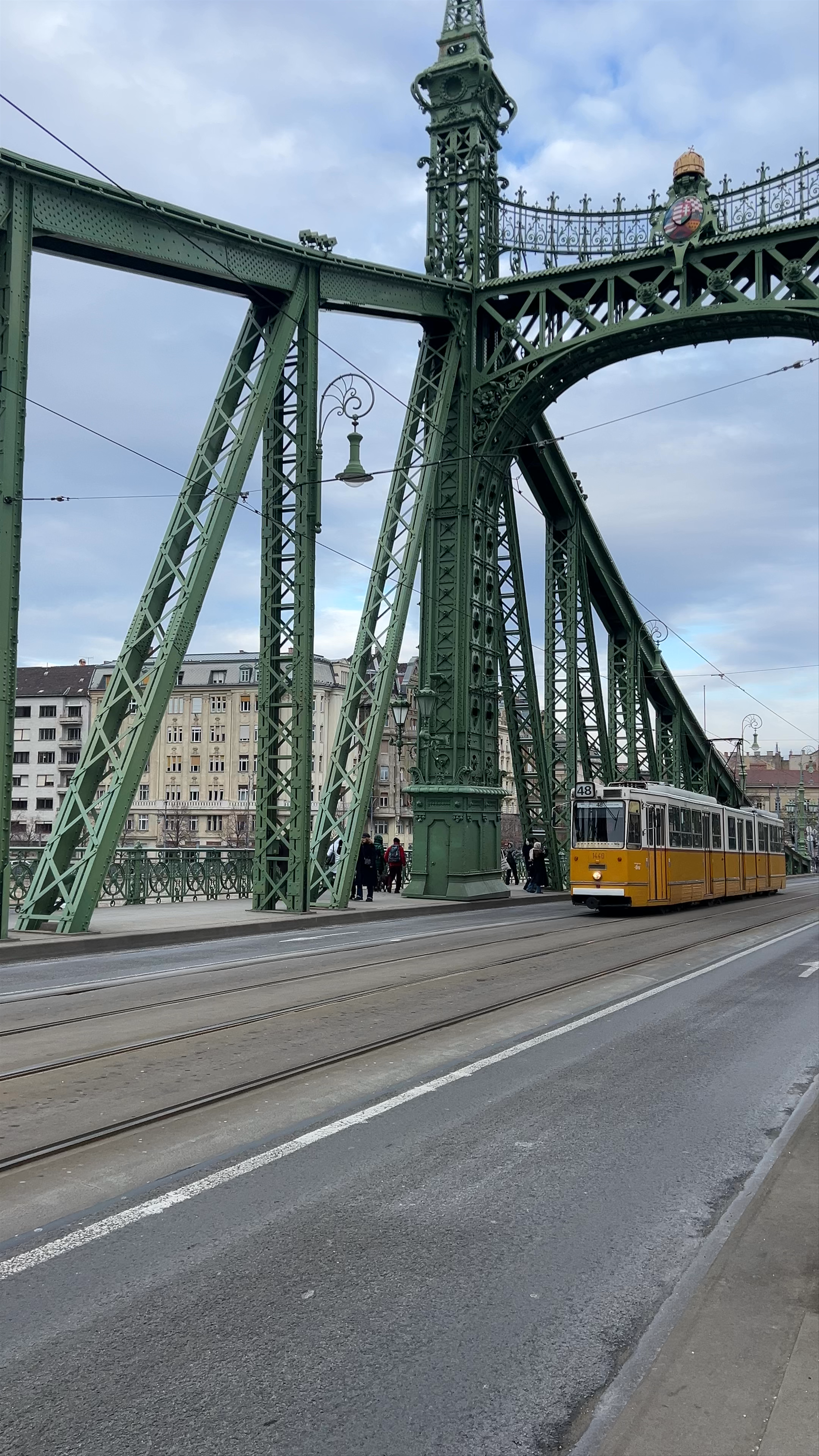 Liberty Bridge Tram Ride and Scenic Views in Budapest