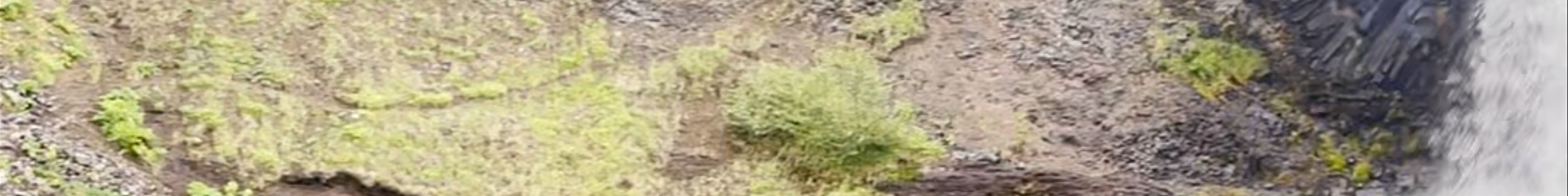 Tours & experiences in Flúðir