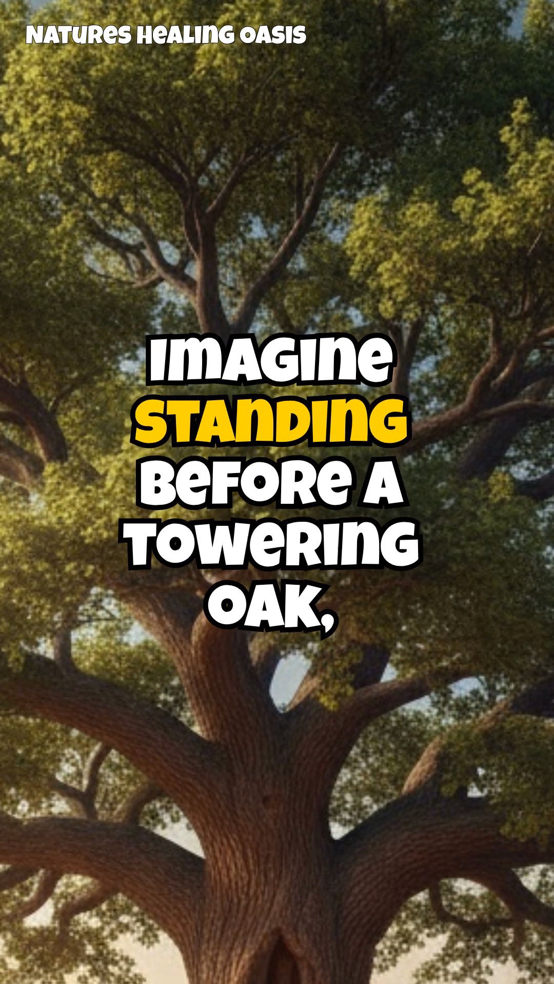 Tree Energy Breathwork: Syncing Breath with Nature's Vital Force