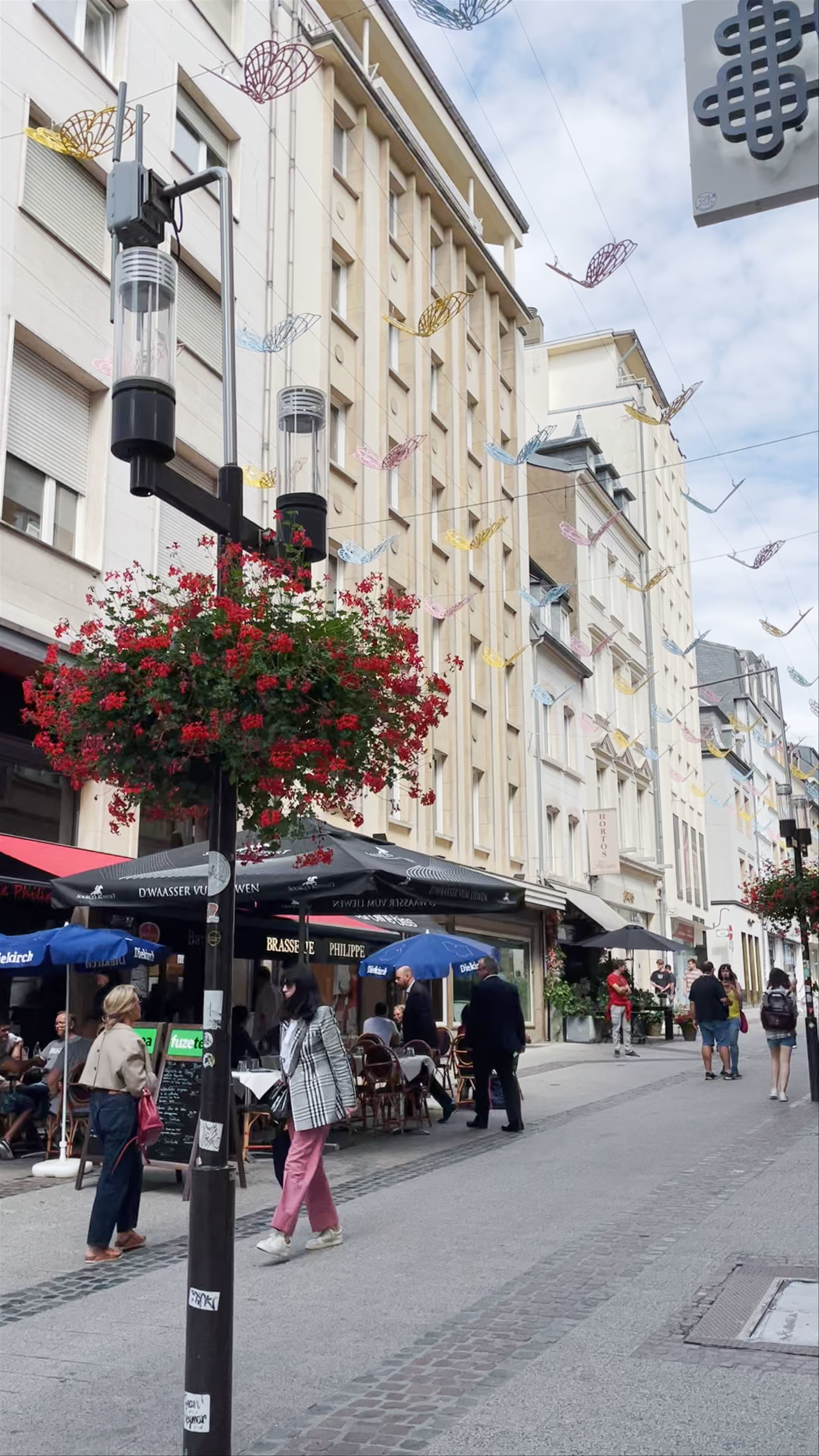 Vibrant Stroll Through Luxembourg City Center