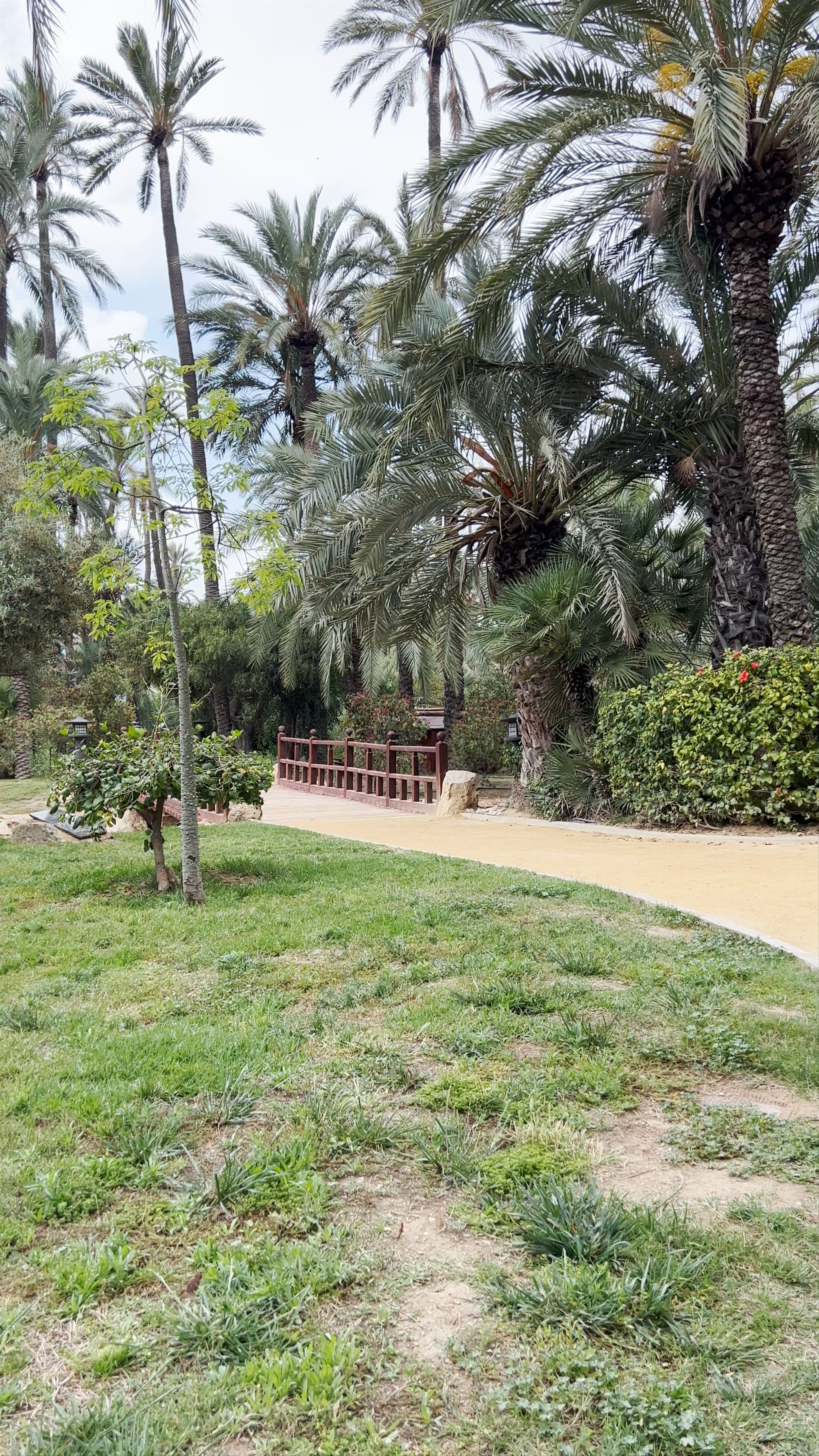 Parc El Palmeral