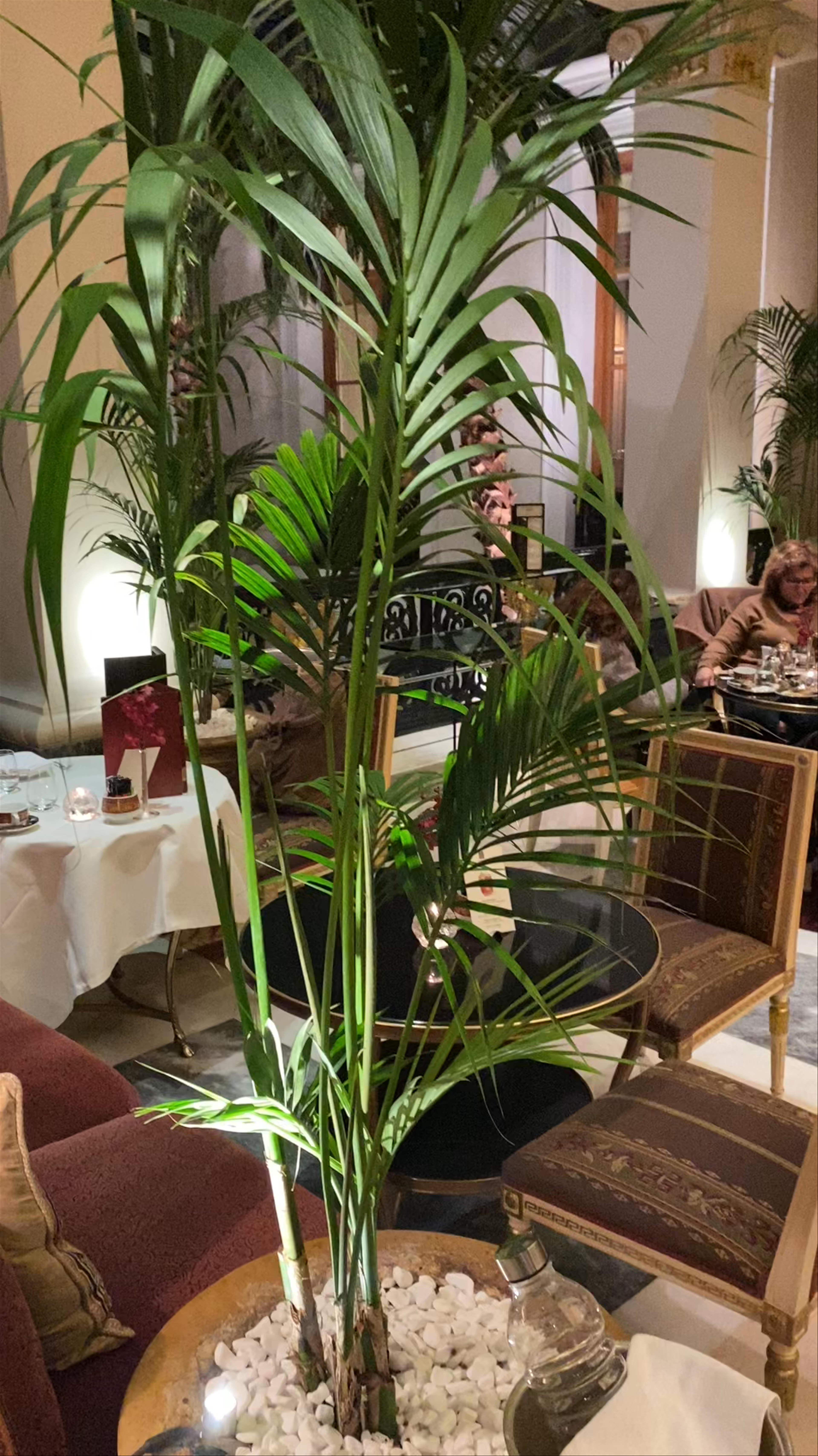 Hotel Grande Bretagne