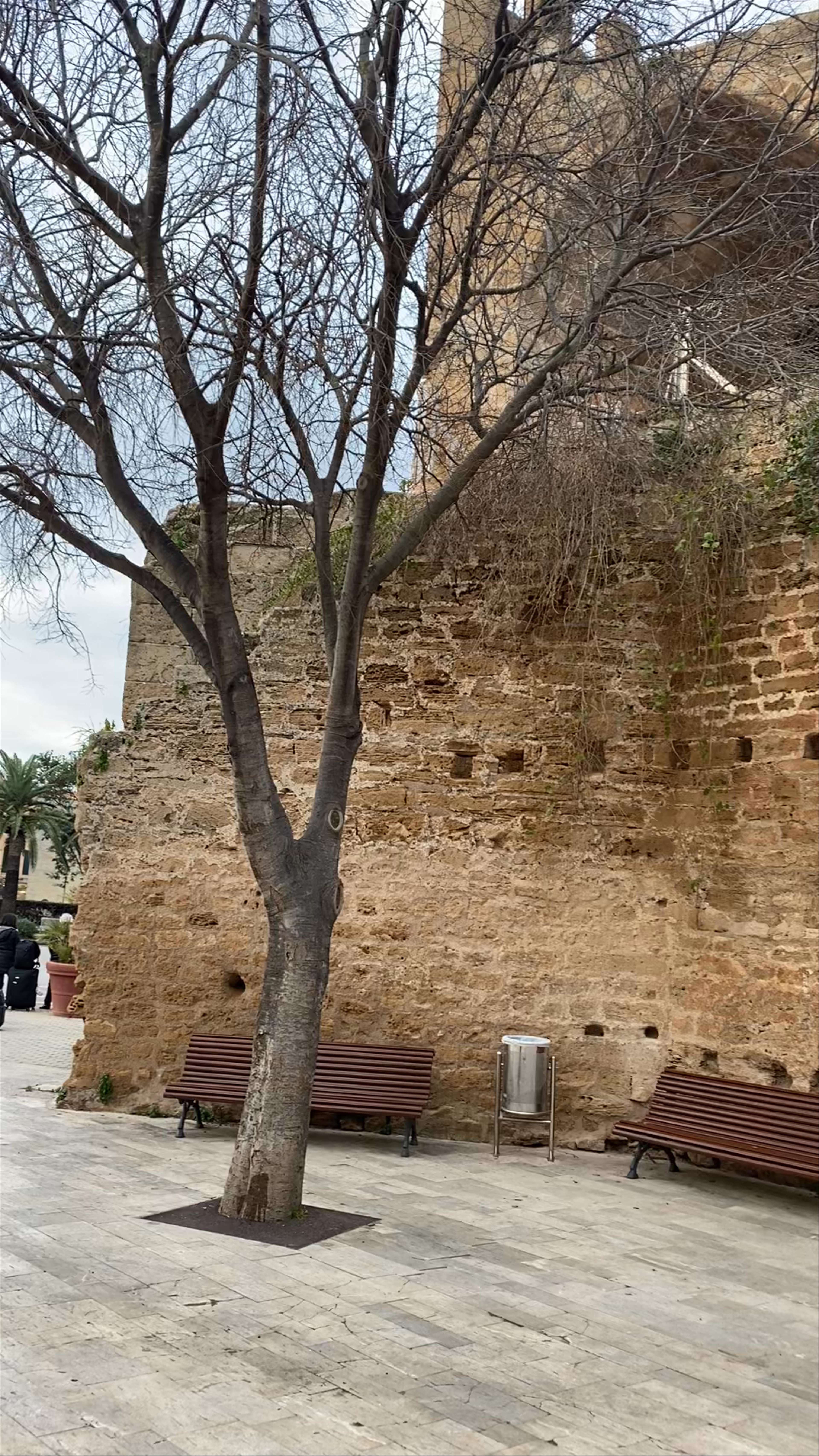 Muralla medieval d'Alcúdia