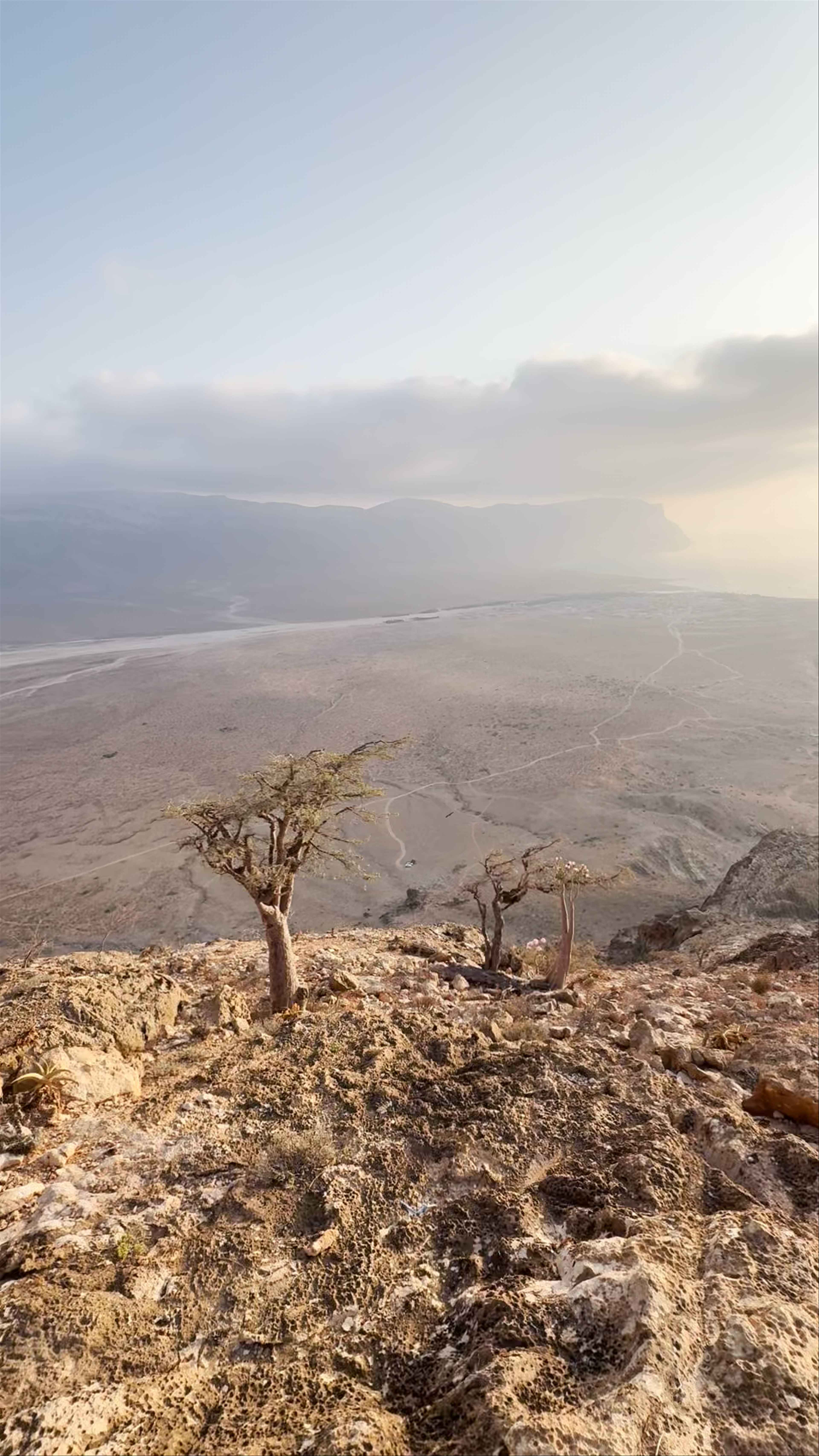 Detwah Lagoon