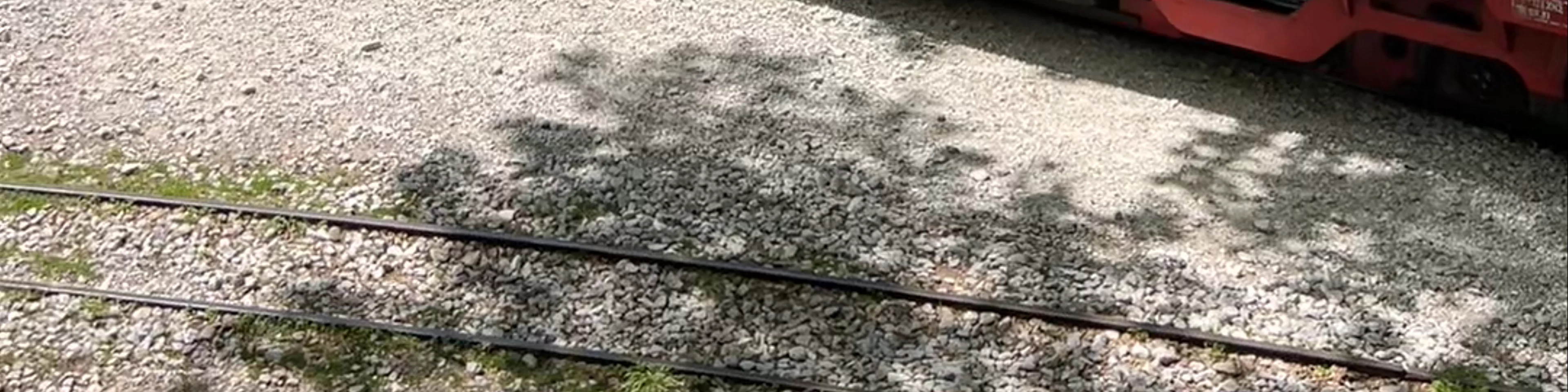 The Train of Pilio (Ano Lekhonia - Milies)