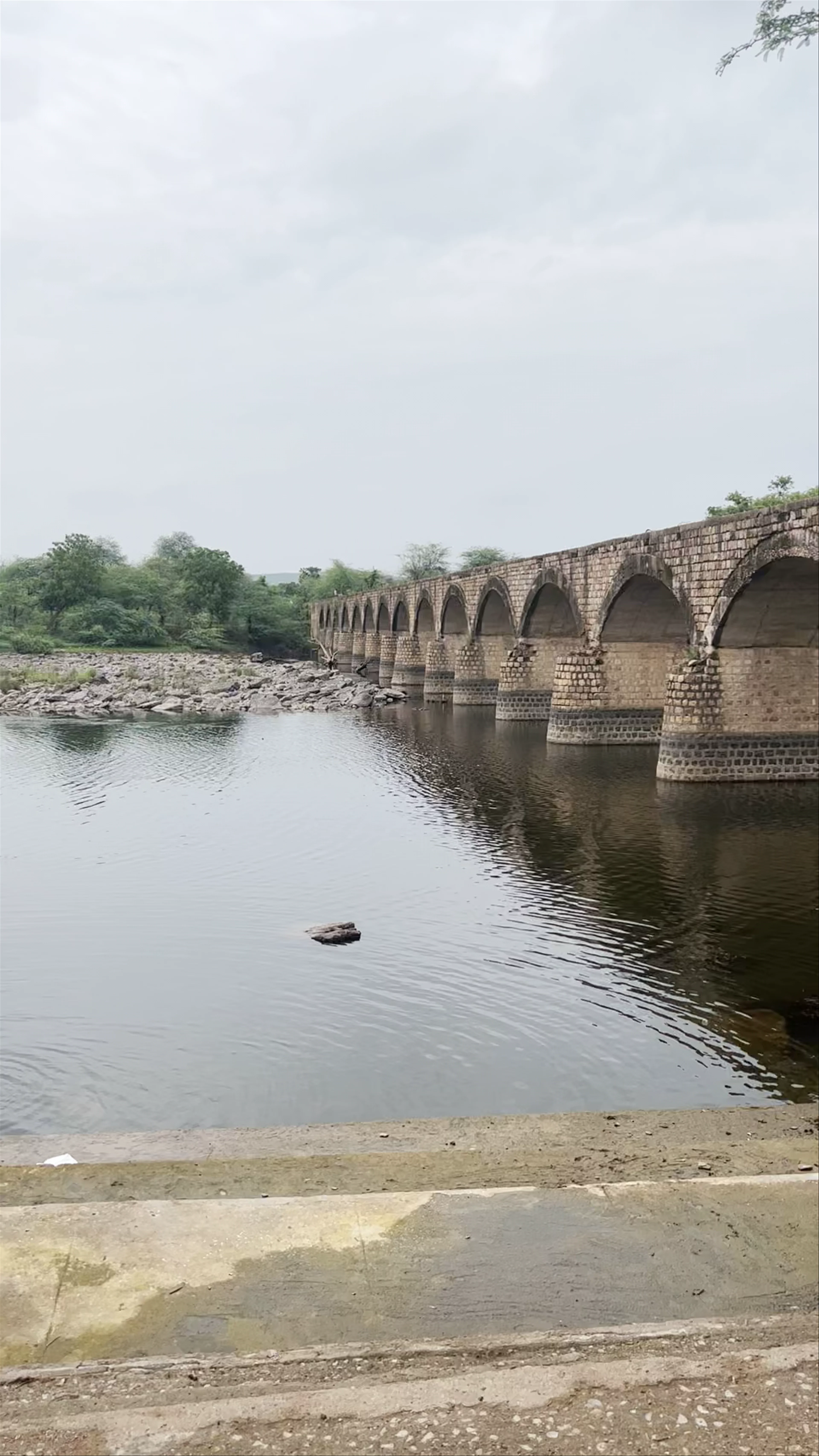 Sam Bridge