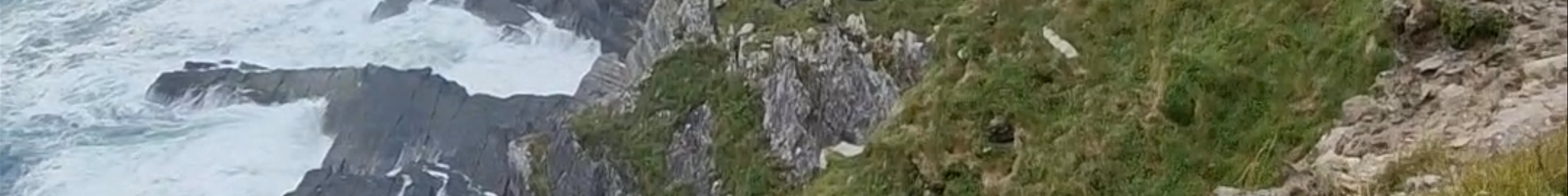 Tours & experiences in Cahersiveen