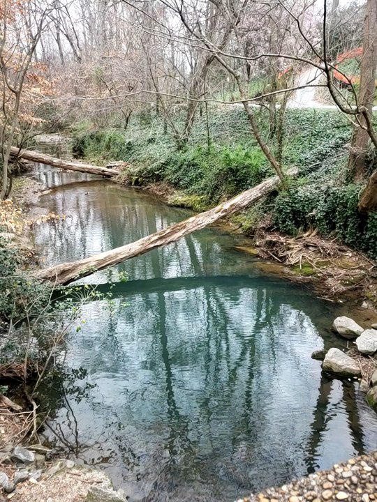 Lullwater Conservation Park - Hiking Near Me - Atlanta, Georgia