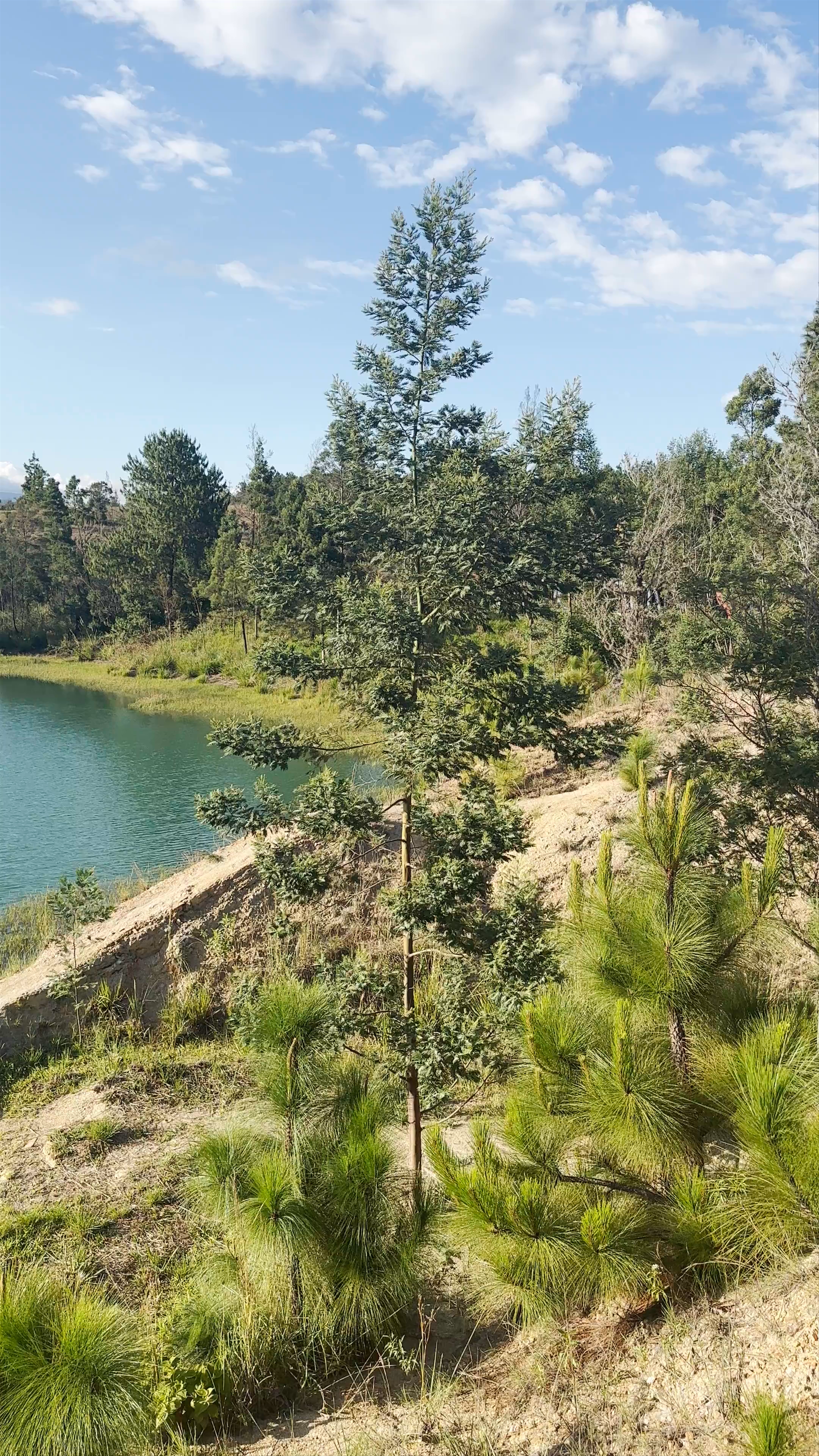 Pozos Azules: Serene Natural Escape in Villa de Leyva, Colombia