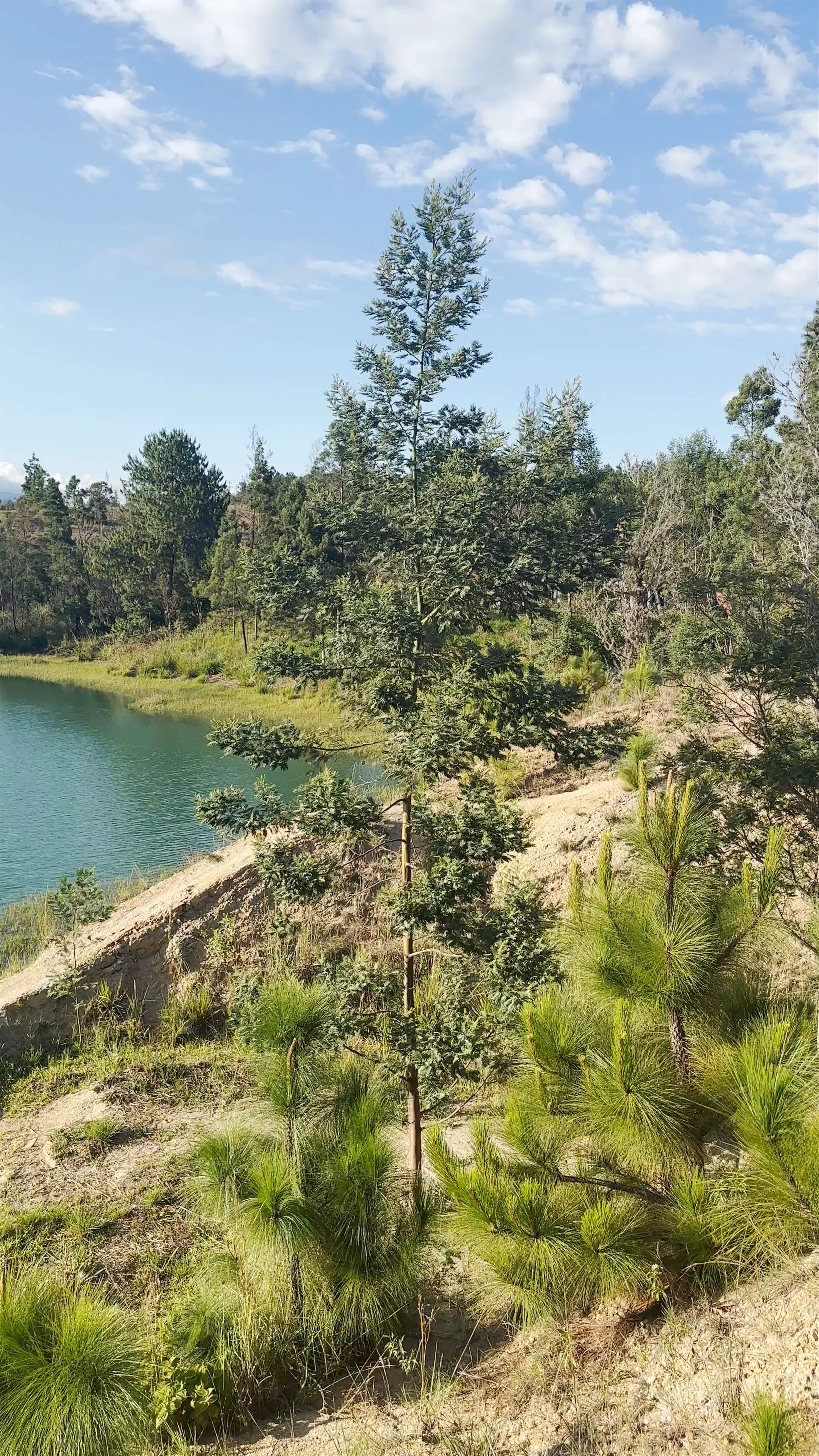 Pozos Azules, Villa de Leyva