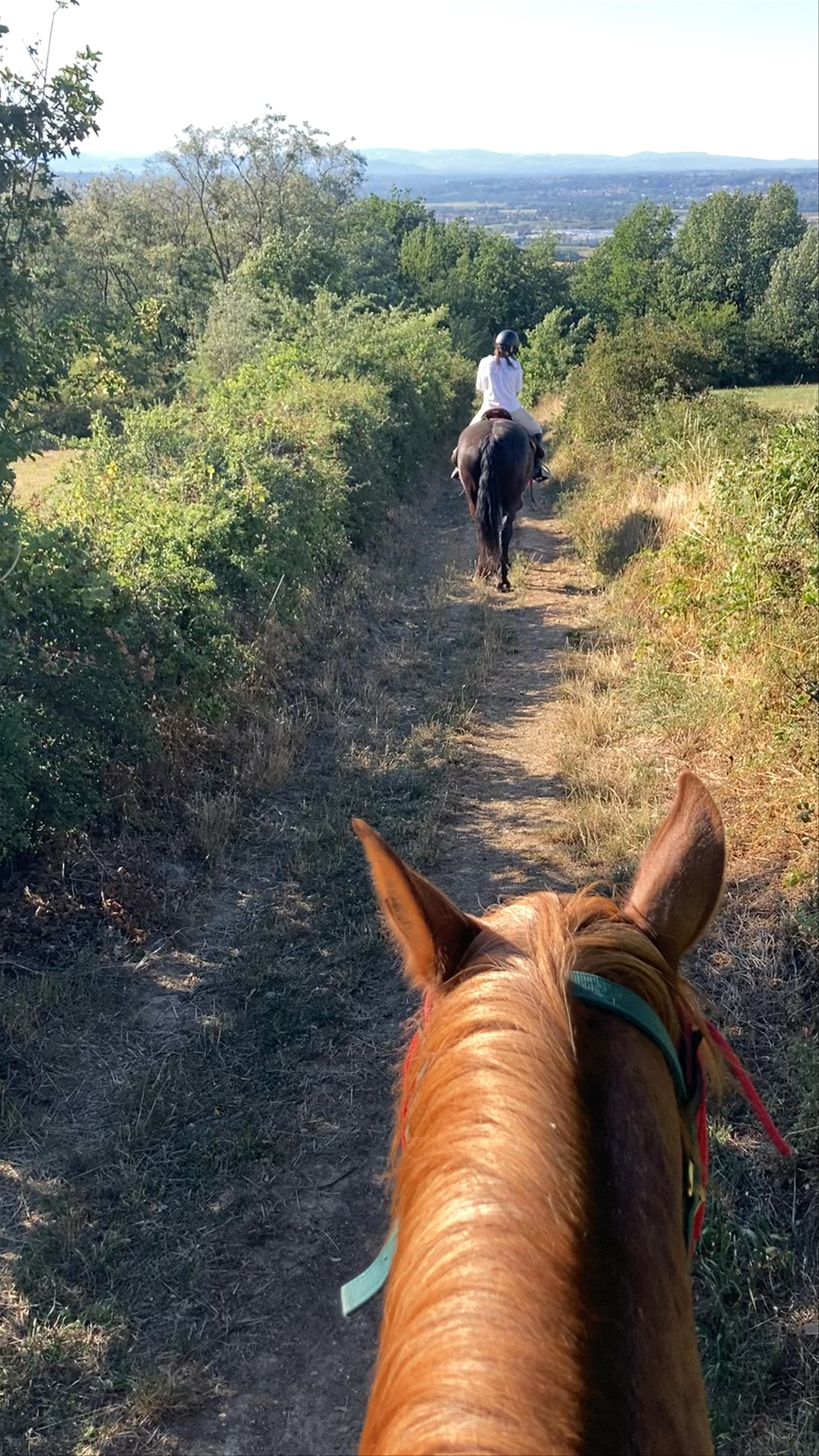 Horseback Riding Adventure in Saint-Germain-au-Mont-d'Or, France