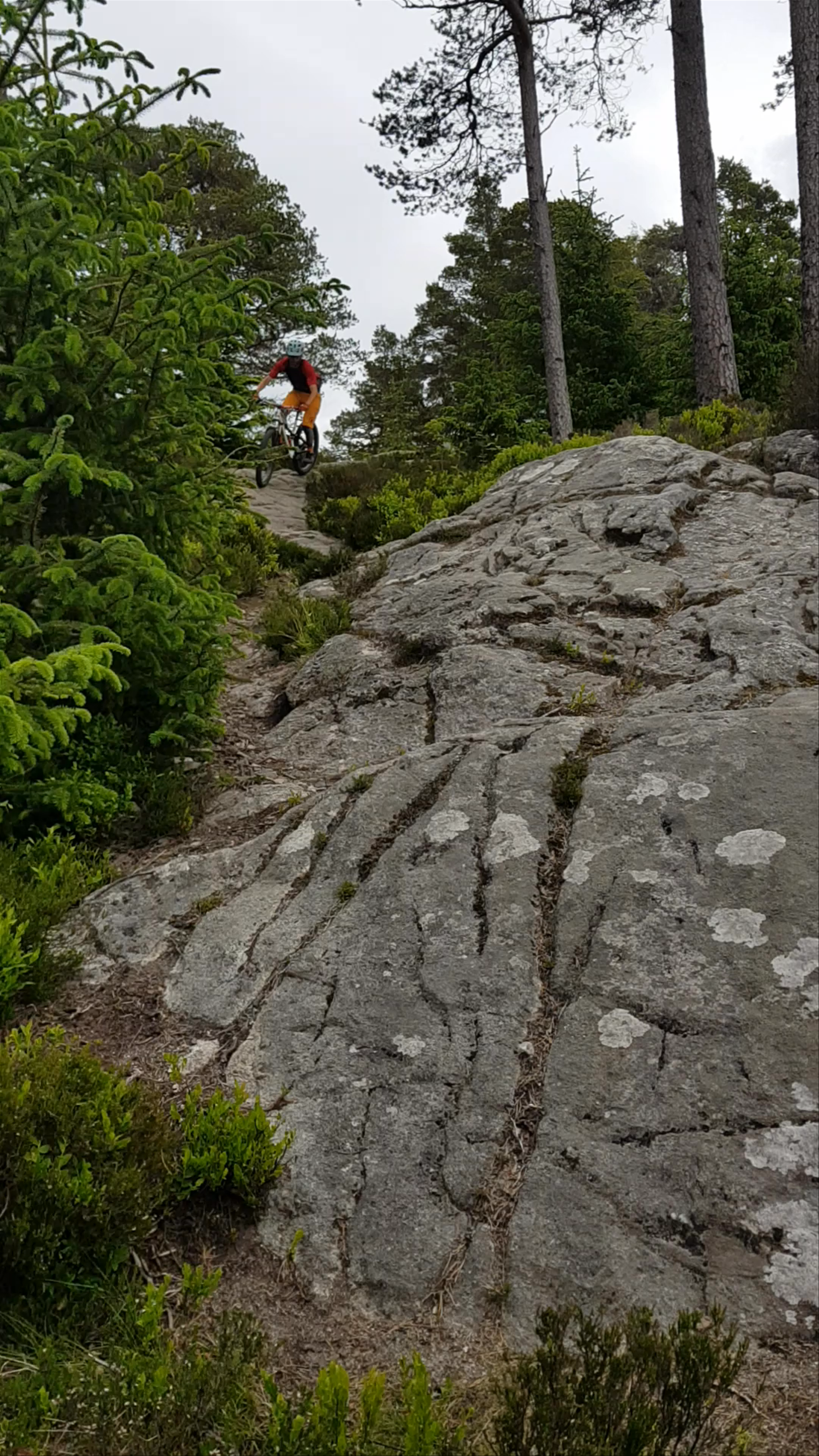 Laggan Wolftrax Mountain Biking Trail Centre