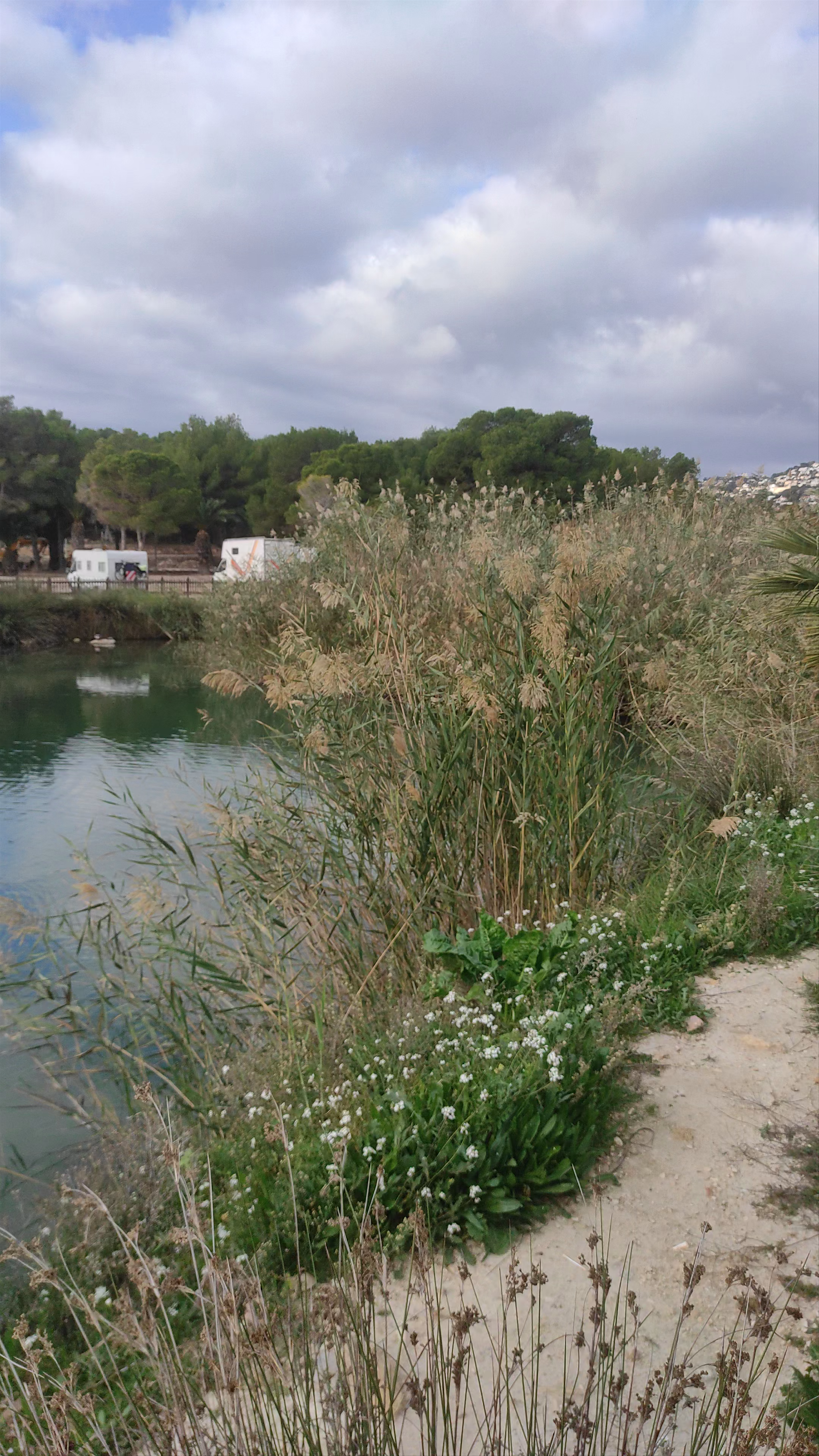 Marjal del Senillar Natural Oasis Walk in Moraira, Spain