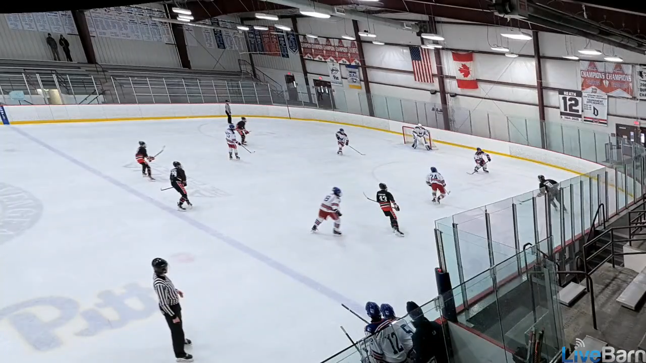 Luca Newill’s goals