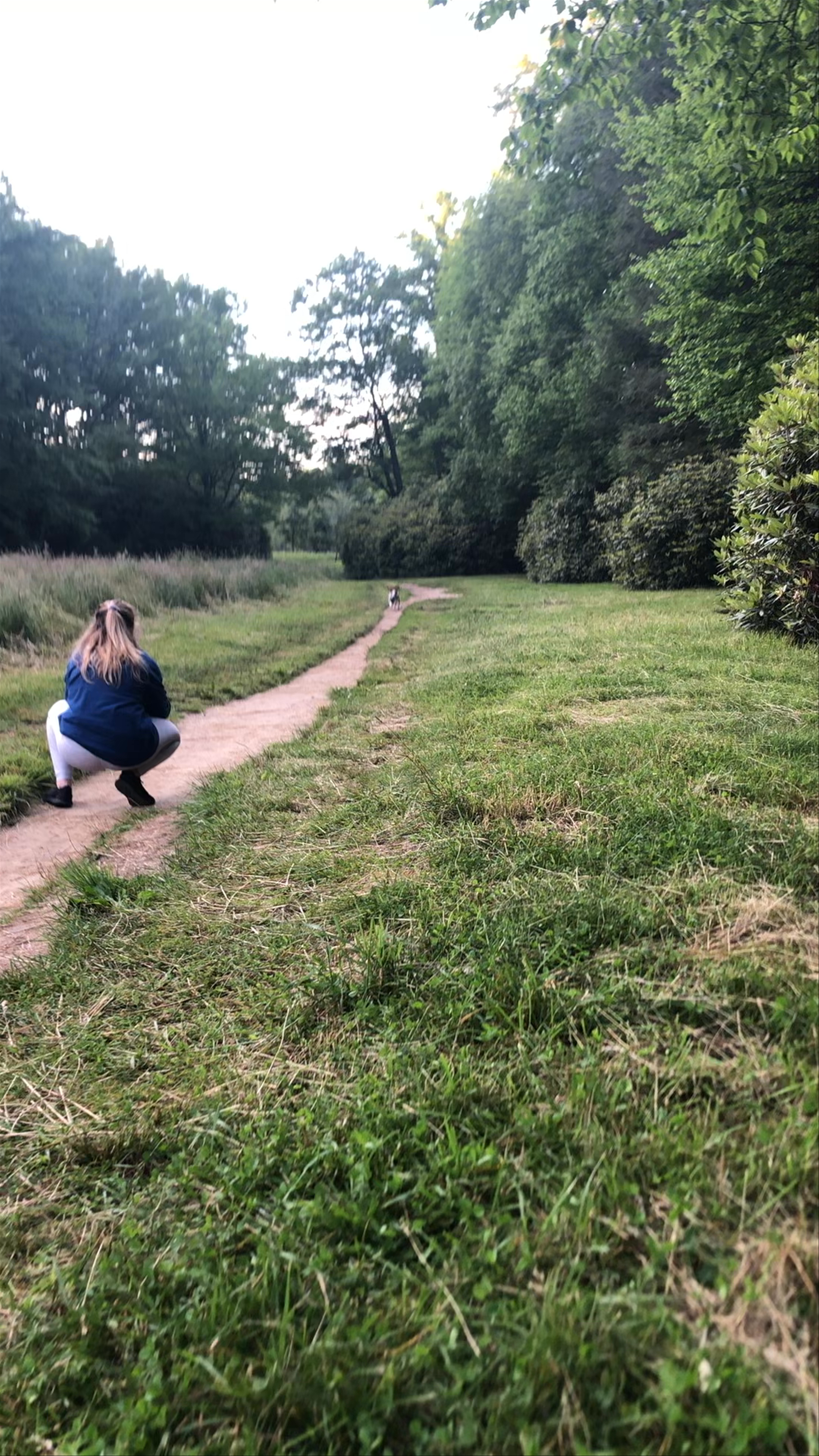 Boone Fork Trail, Boone