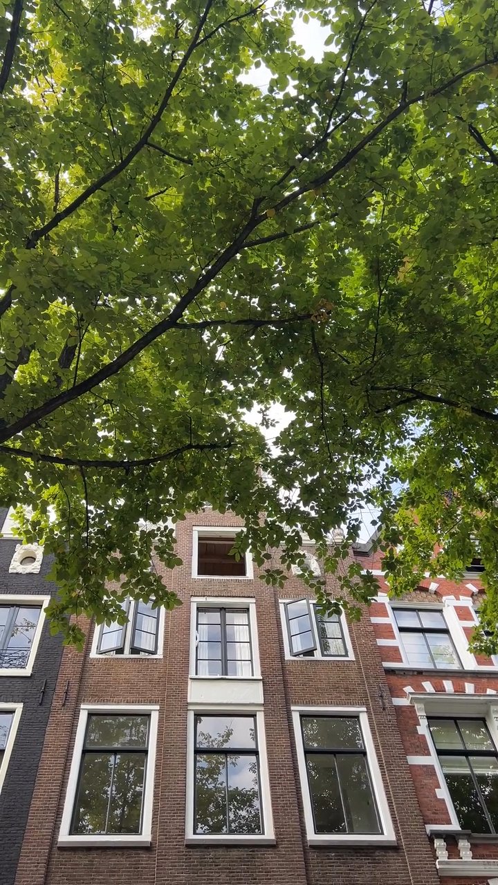 romanticize your life
📍 Amsterdam
🎥 Karography · Pexels
#travel #europe #eurotrip #wanderlust #vacation