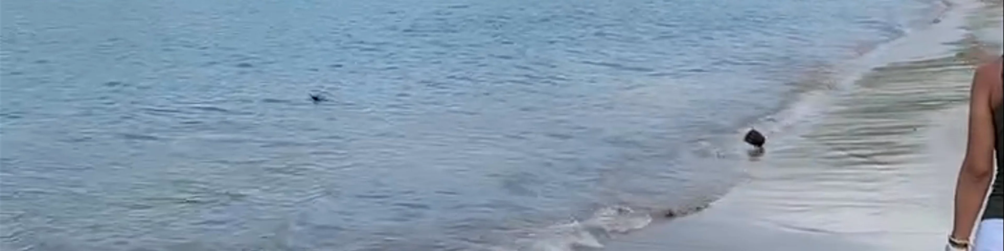 Pantai Kuta Lombok