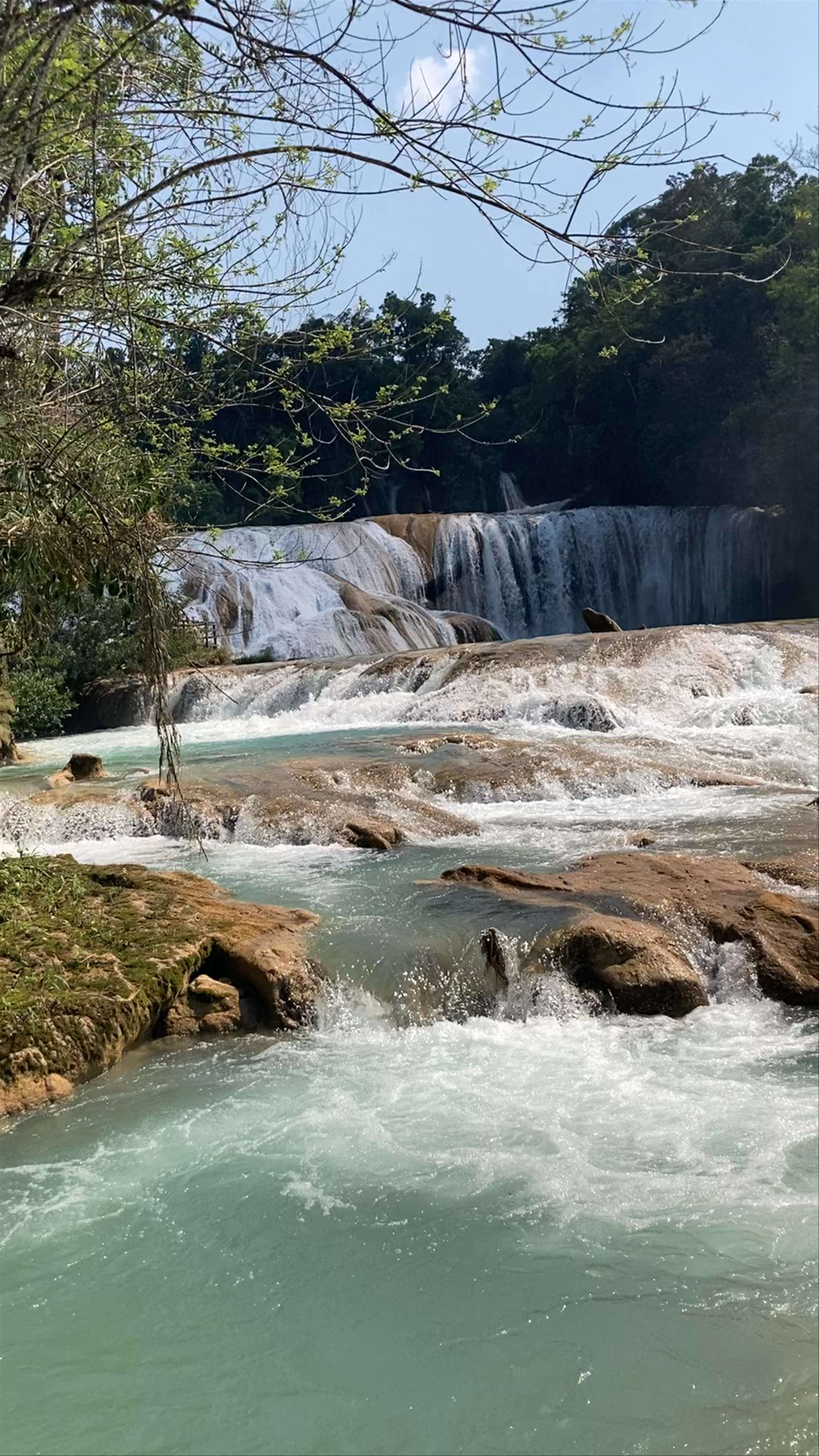 Agua Azul