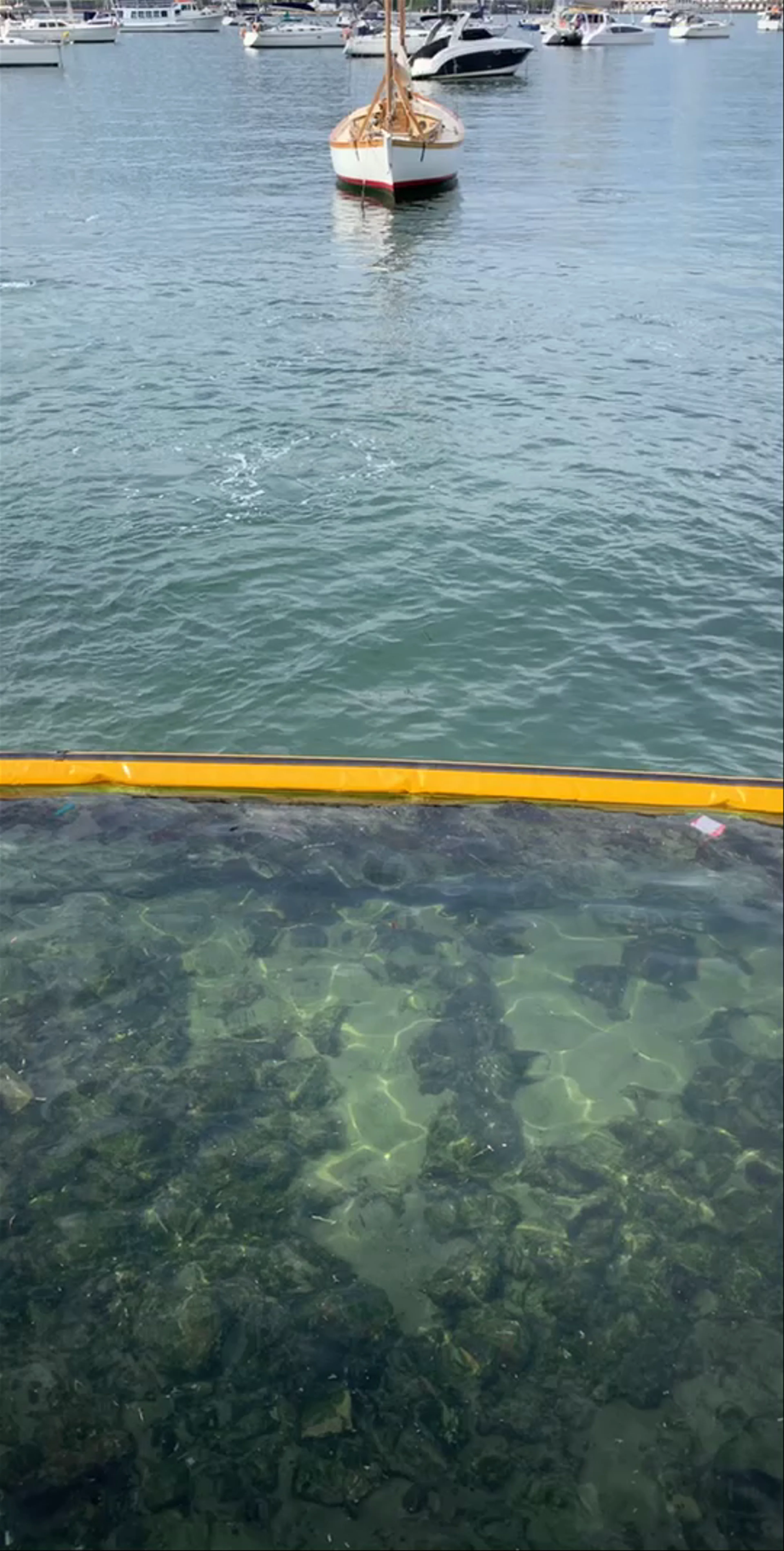 Lavender Bay NSW, Australia
