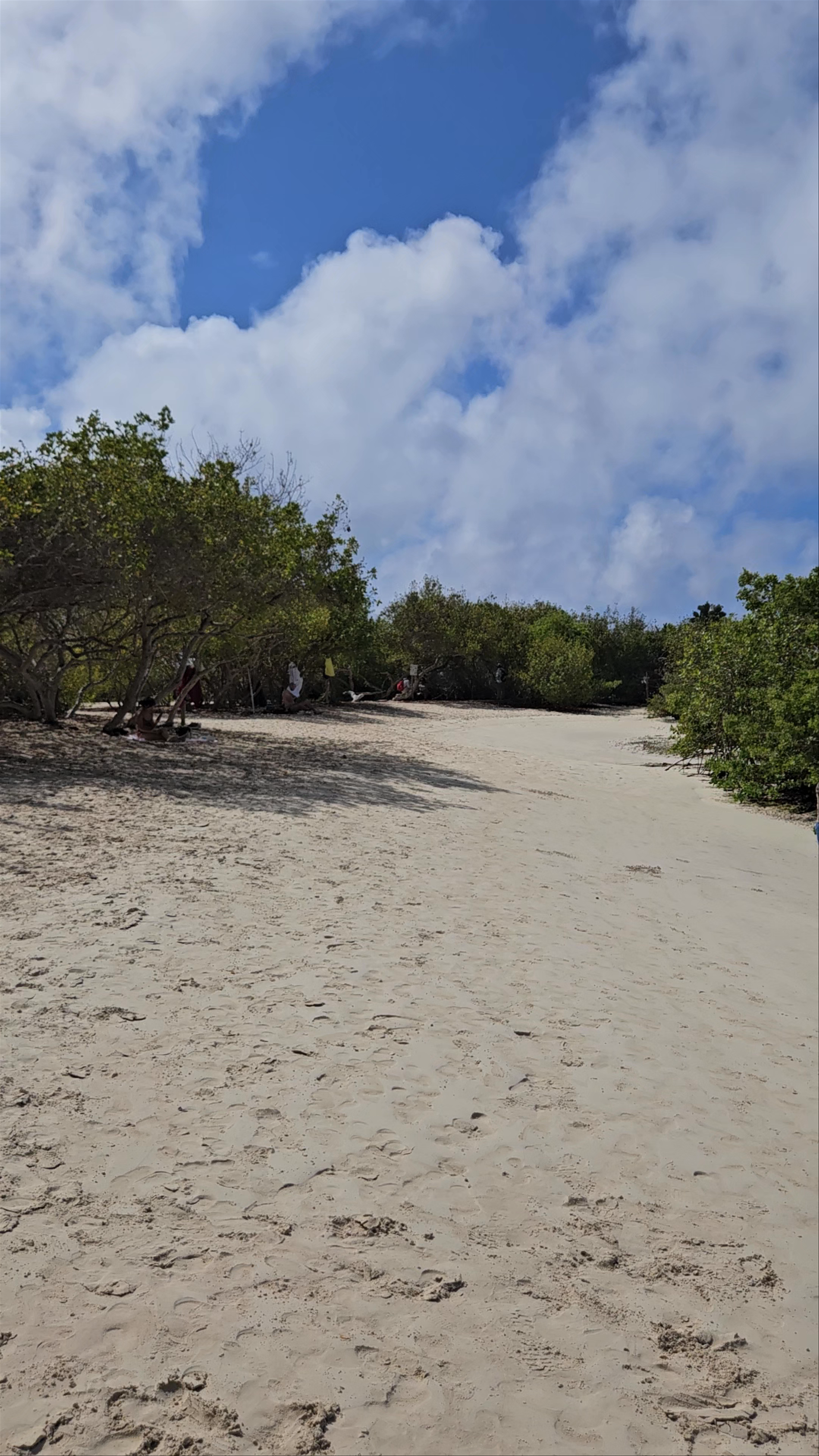 Bahía Tortuga