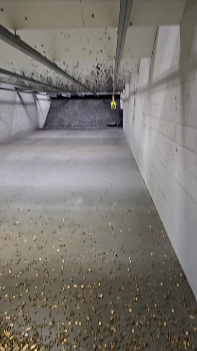 The Gun Range - 25 yard lanes - Gun/Rifle Ranges Near Me - North Highlands, California