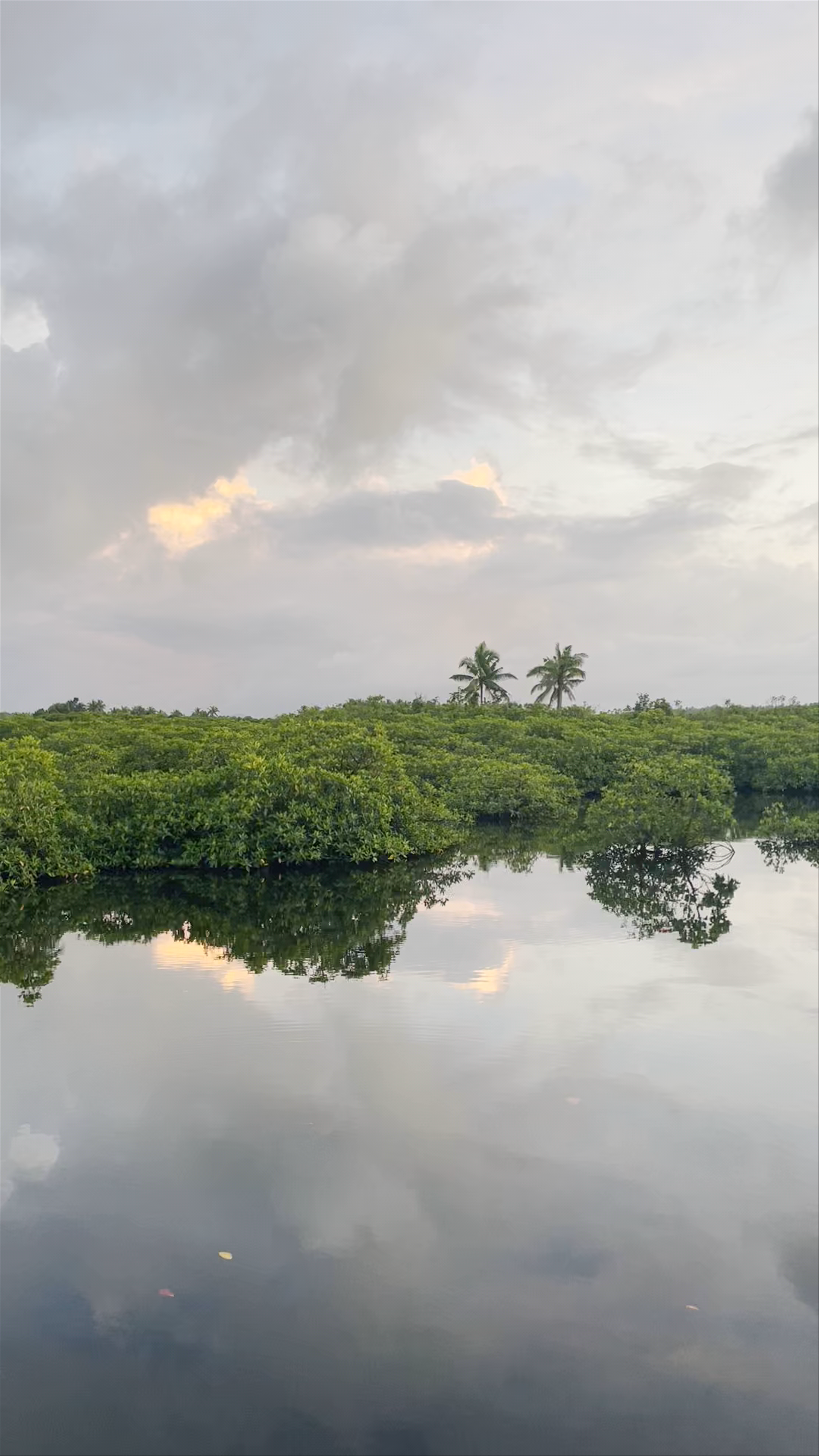 Del Carmen Mangrove Boardwalk: Sunset Serenity in Surigao del Norte
